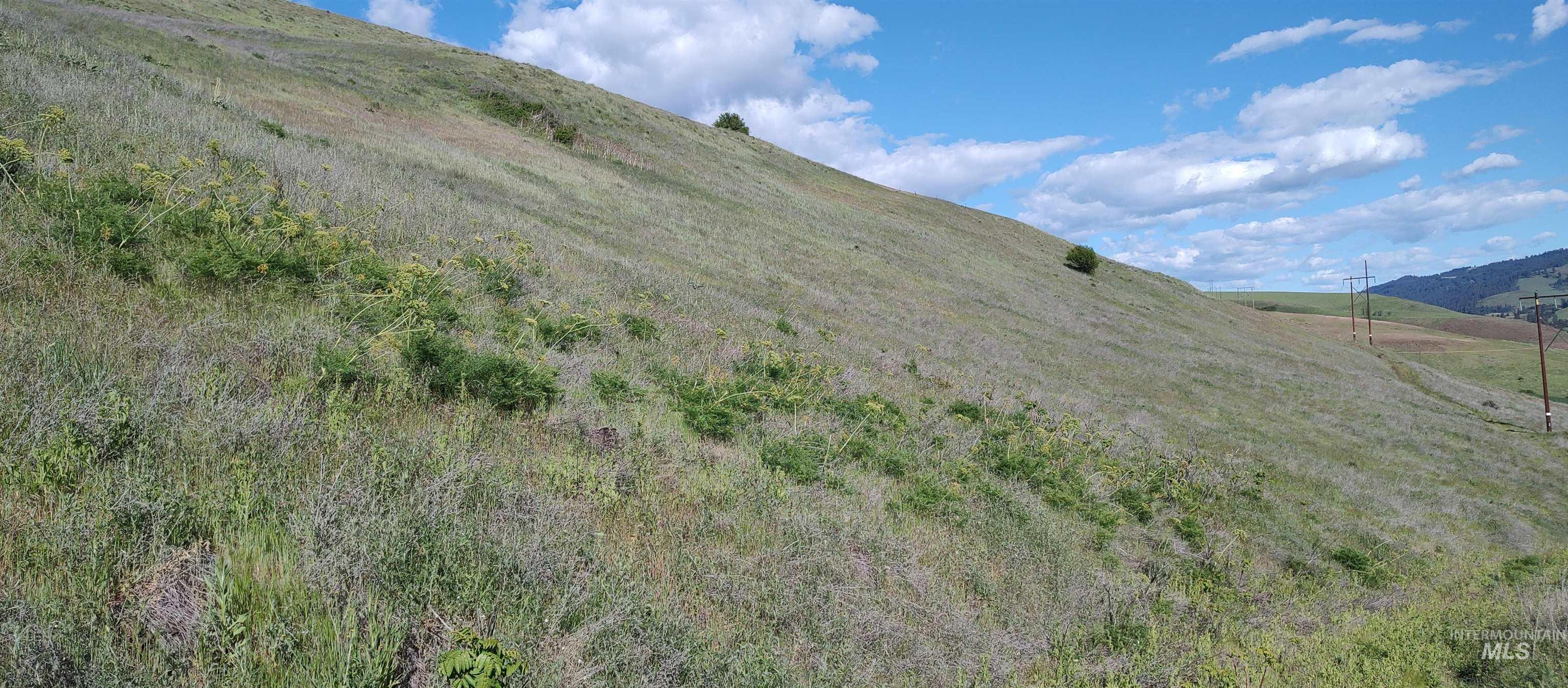 31803 Cherry Ranch Lane, Lenore, Idaho 83541-6028, 1 Bedroom, 1 Bathroom, Residential For Sale, Price $249,700,MLS 98971874