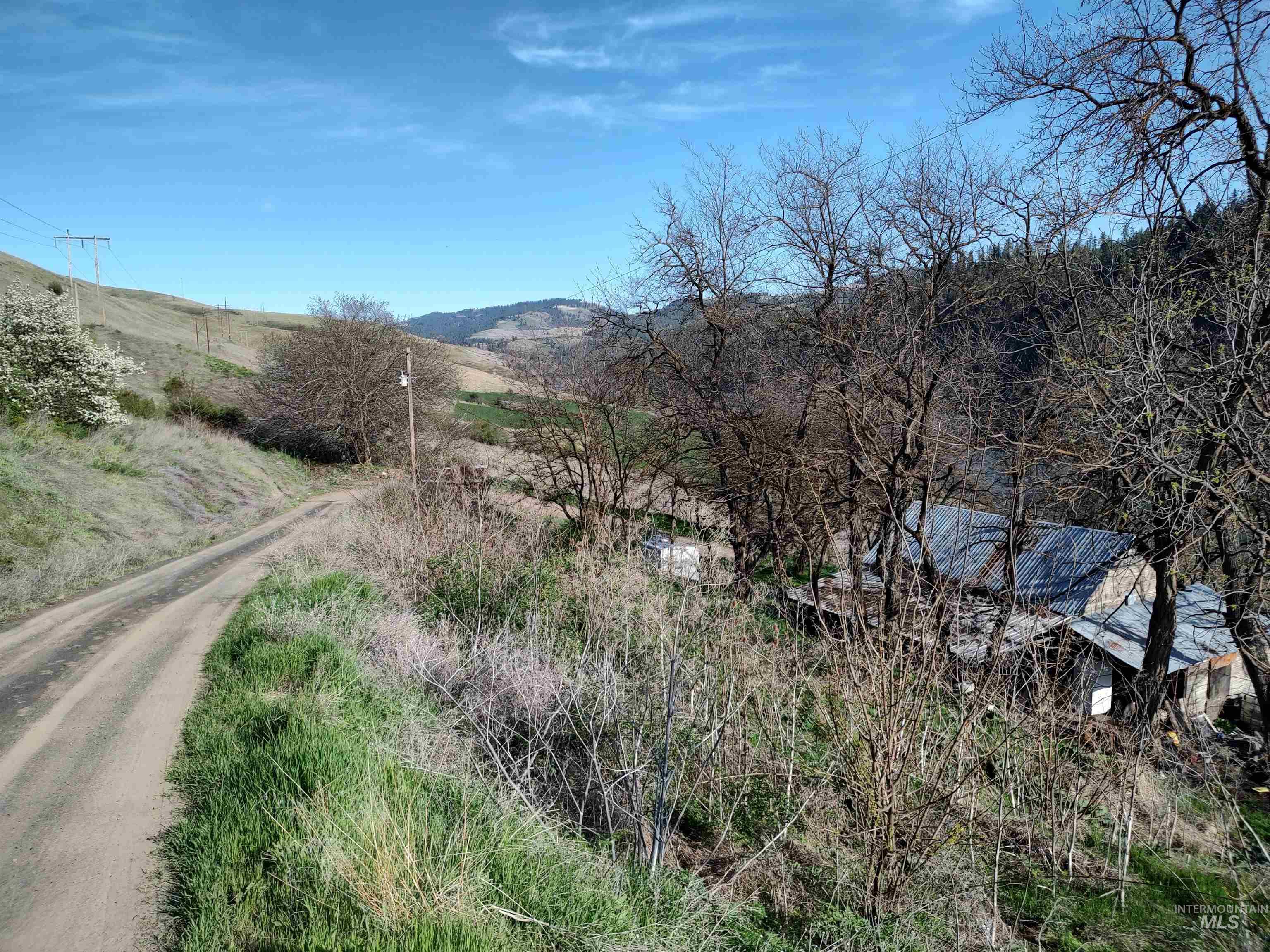 31803 Cherry Ranch Lane, Lenore, Idaho 83541-6028, 1 Bedroom, 1 Bathroom, Residential For Sale, Price $249,700,MLS 98971874