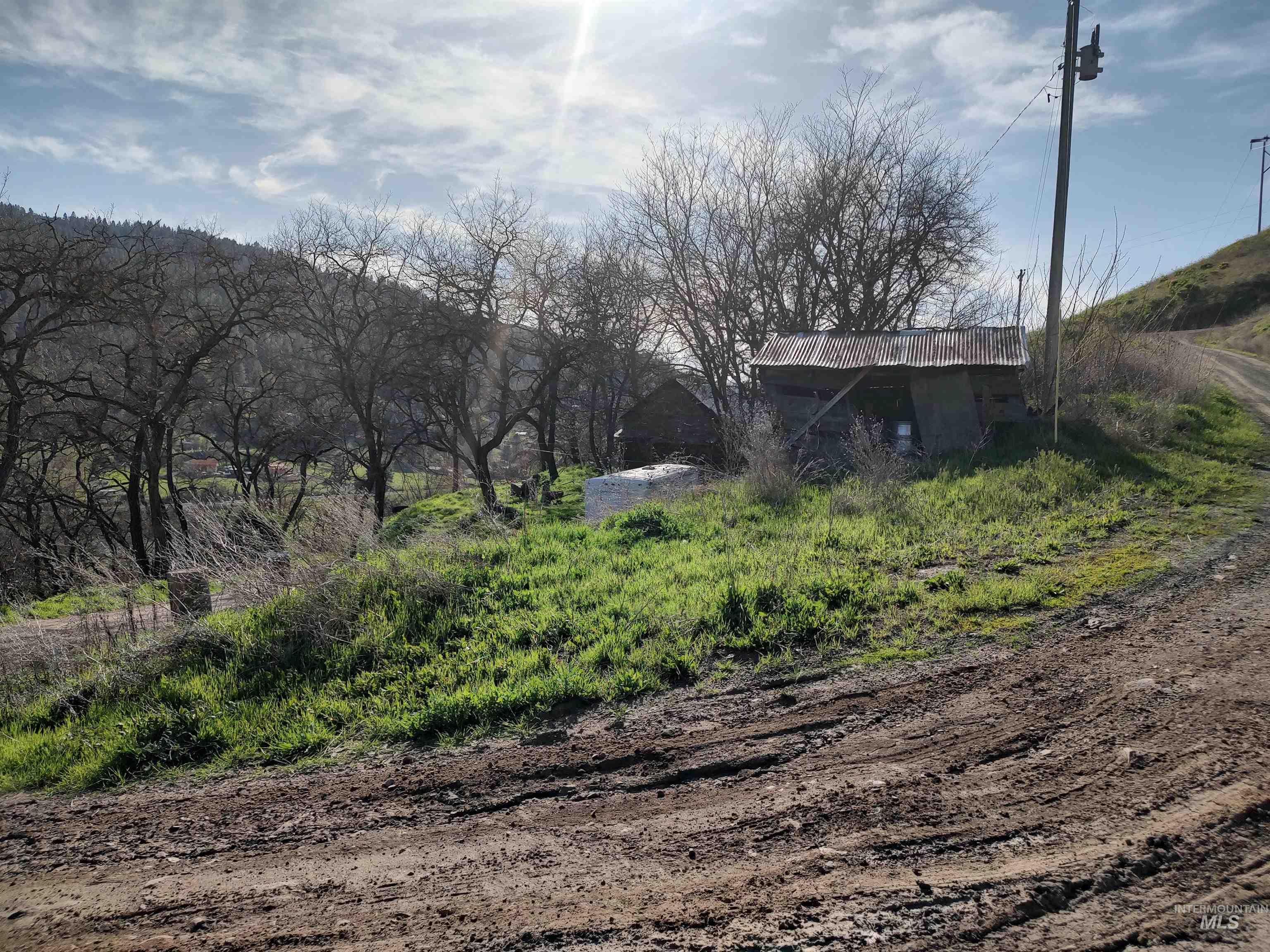 31803 Cherry Ranch Lane, Lenore, Idaho 83541-6028, 1 Bedroom, 1 Bathroom, Residential For Sale, Price $249,700,MLS 98971874