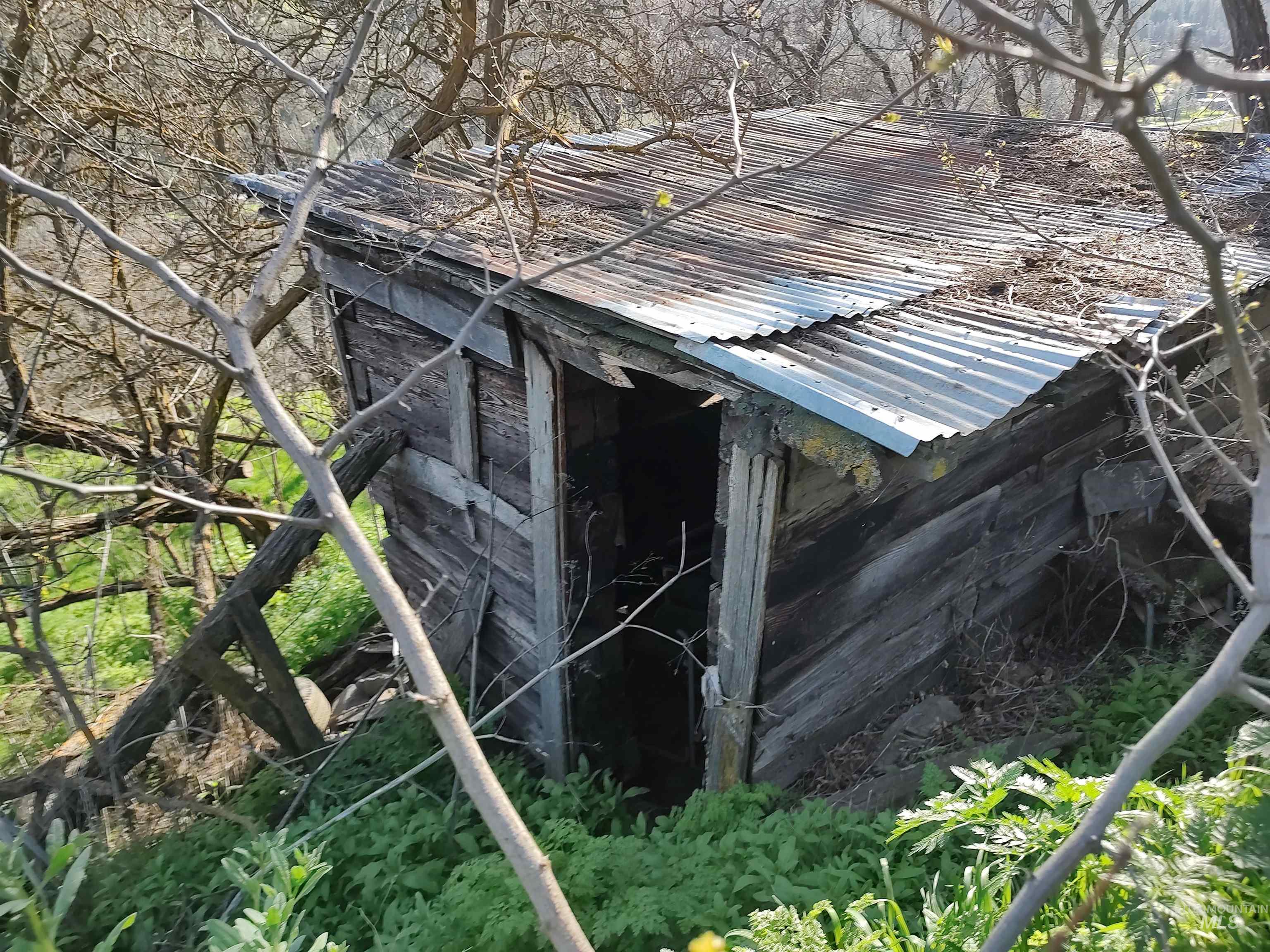 31803 Cherry Ranch Lane, Lenore, Idaho 83541-6028, 1 Bedroom, 1 Bathroom, Residential For Sale, Price $249,700,MLS 98971874