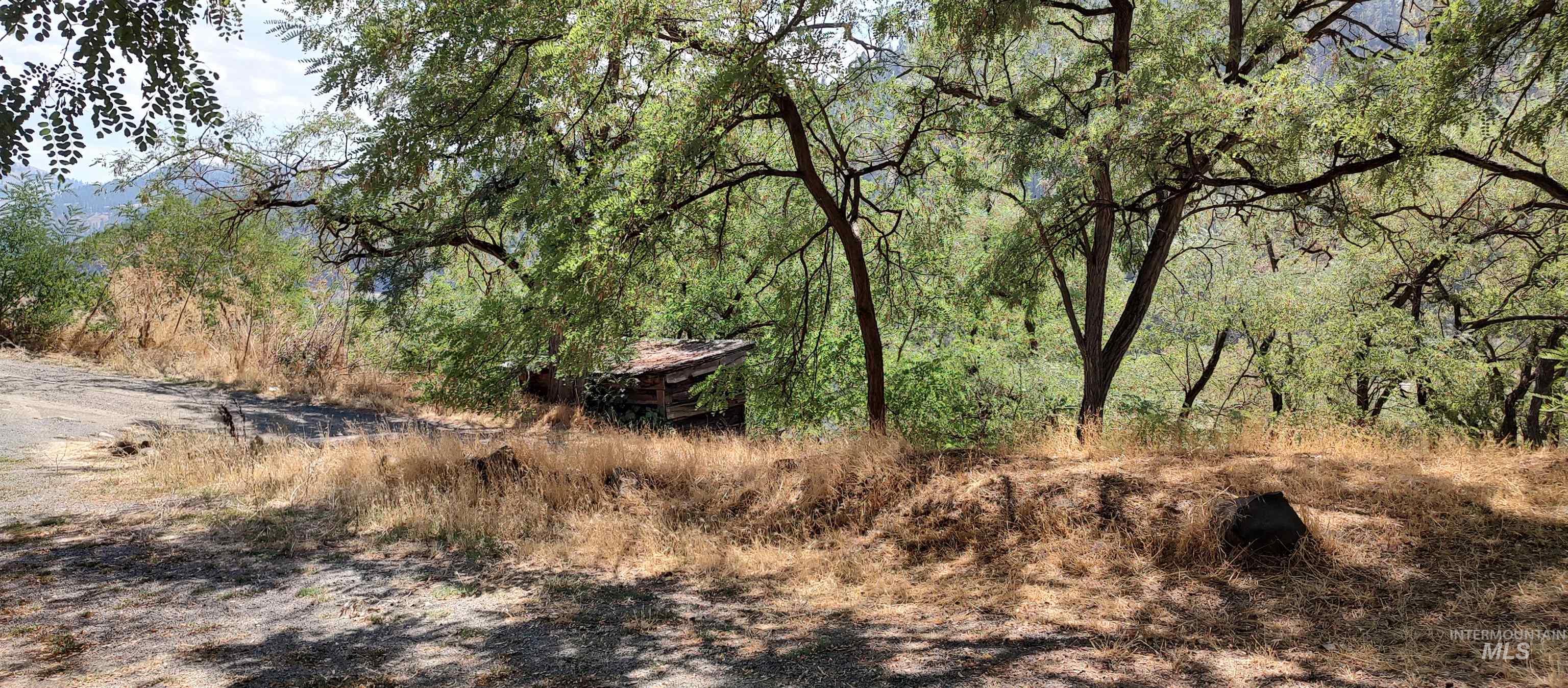 31803 Cherry Ranch Lane, Lenore, Idaho 83541-6028, 1 Bedroom, 1 Bathroom, Residential For Sale, Price $249,700,MLS 98971874