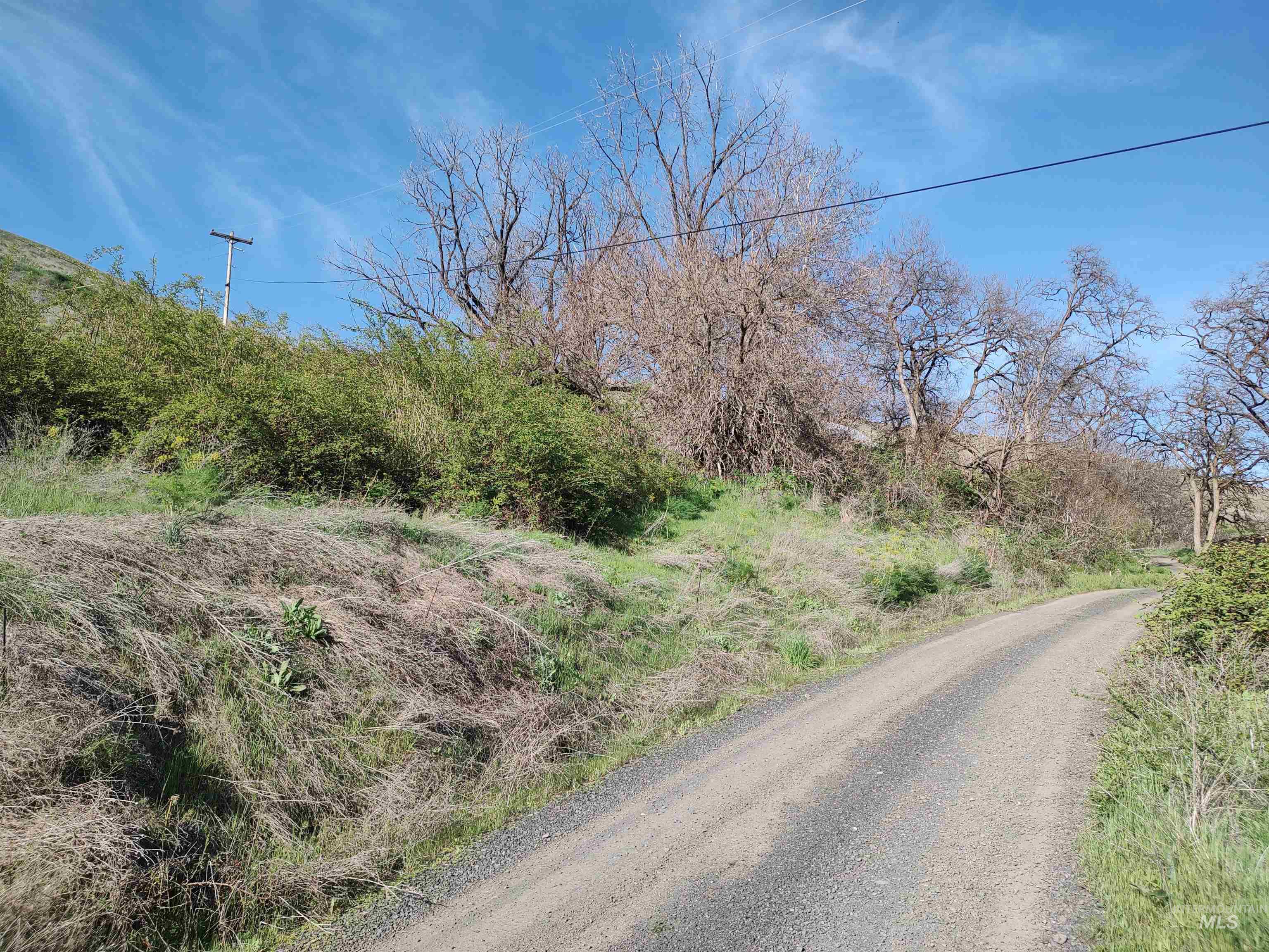 31803 Cherry Ranch Lane, Lenore, Idaho 83541-6028, 1 Bedroom, 1 Bathroom, Residential For Sale, Price $249,700,MLS 98971874