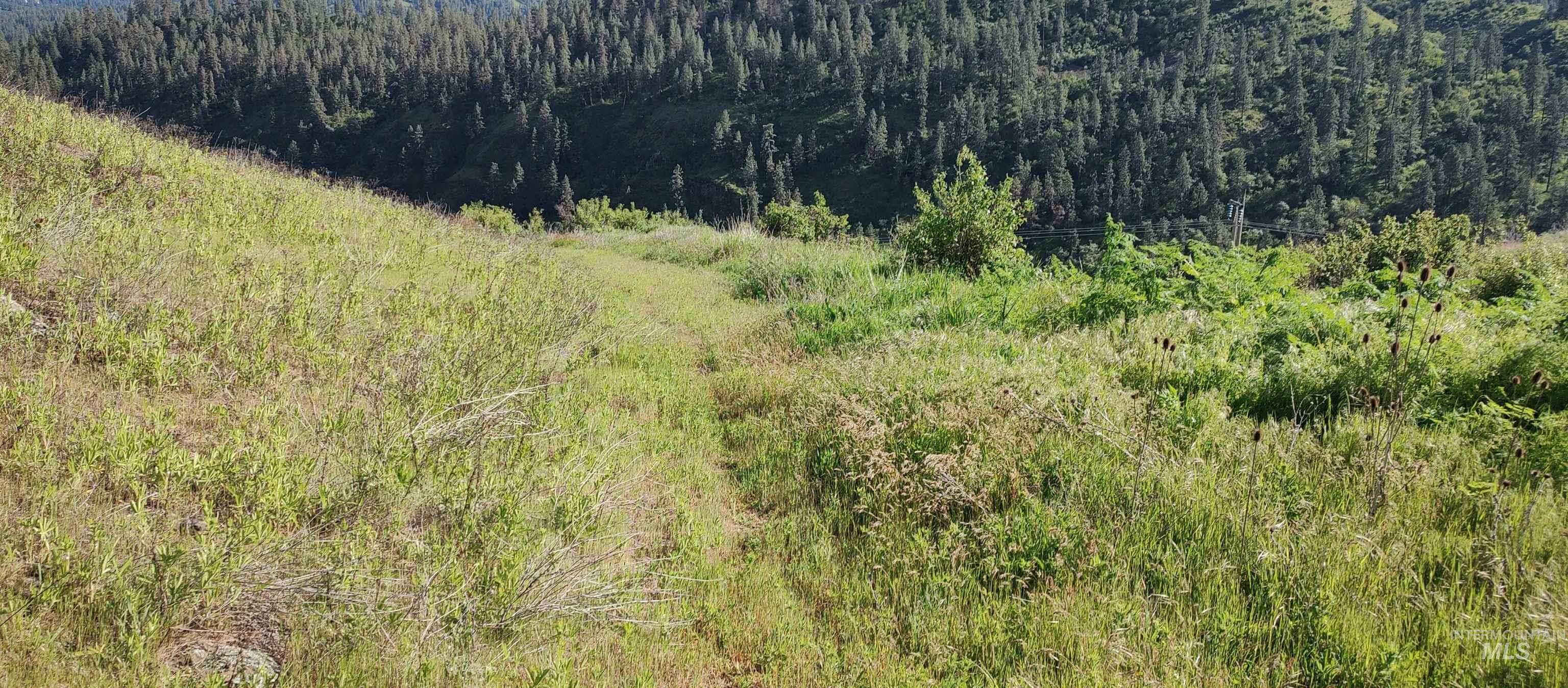 31803 Cherry Ranch Lane, Lenore, Idaho 83541-6028, 1 Bedroom, 1 Bathroom, Residential For Sale, Price $249,700,MLS 98971874