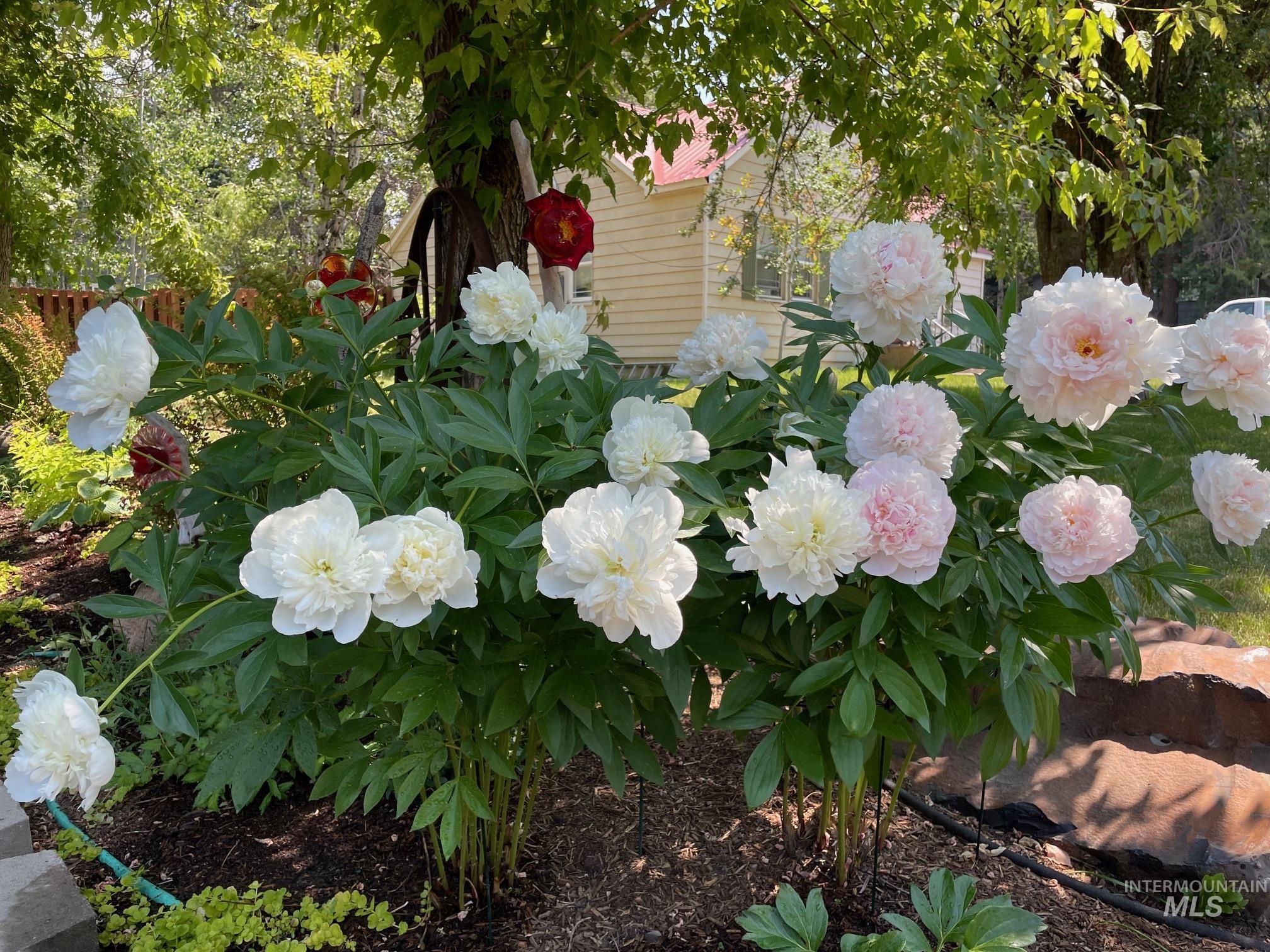 911 Davis Avenue, McCall, Idaho 83638, 5 Bedrooms, 2.5 Bathrooms, Residential For Sale, Price $1,249,000,MLS 98971906