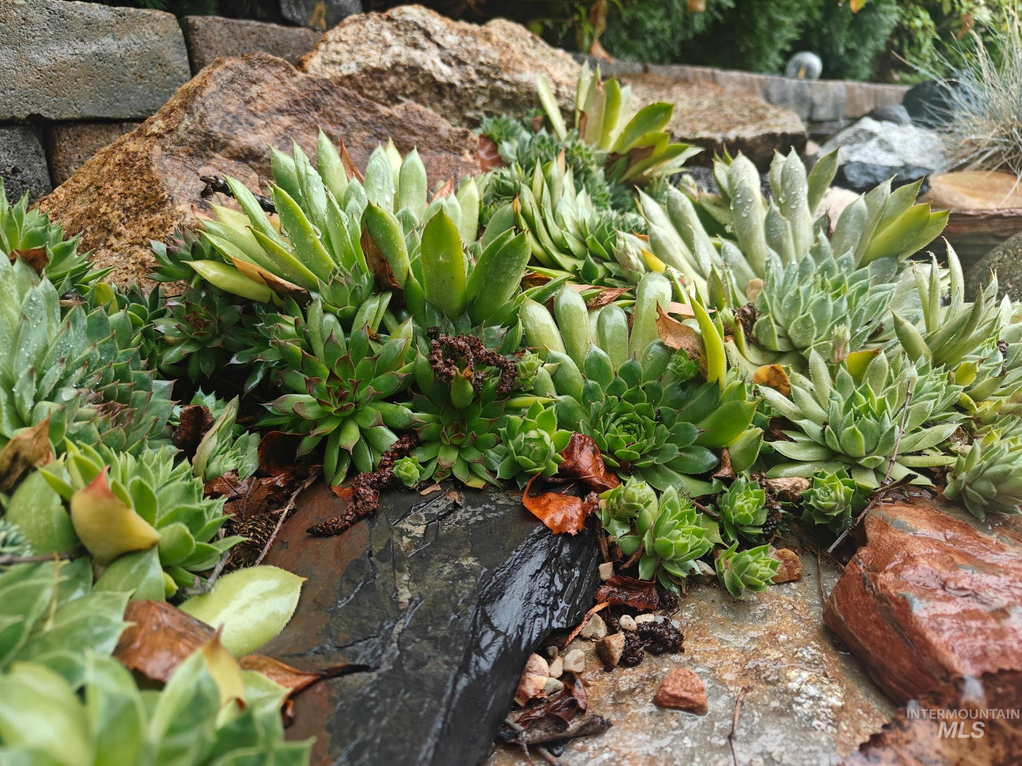 2652 N Bobcat Way, Meridian, Idaho 83646, 4 Bedrooms, 3 Bathrooms, Residential For Sale, Price $489,900,MLS 98971910