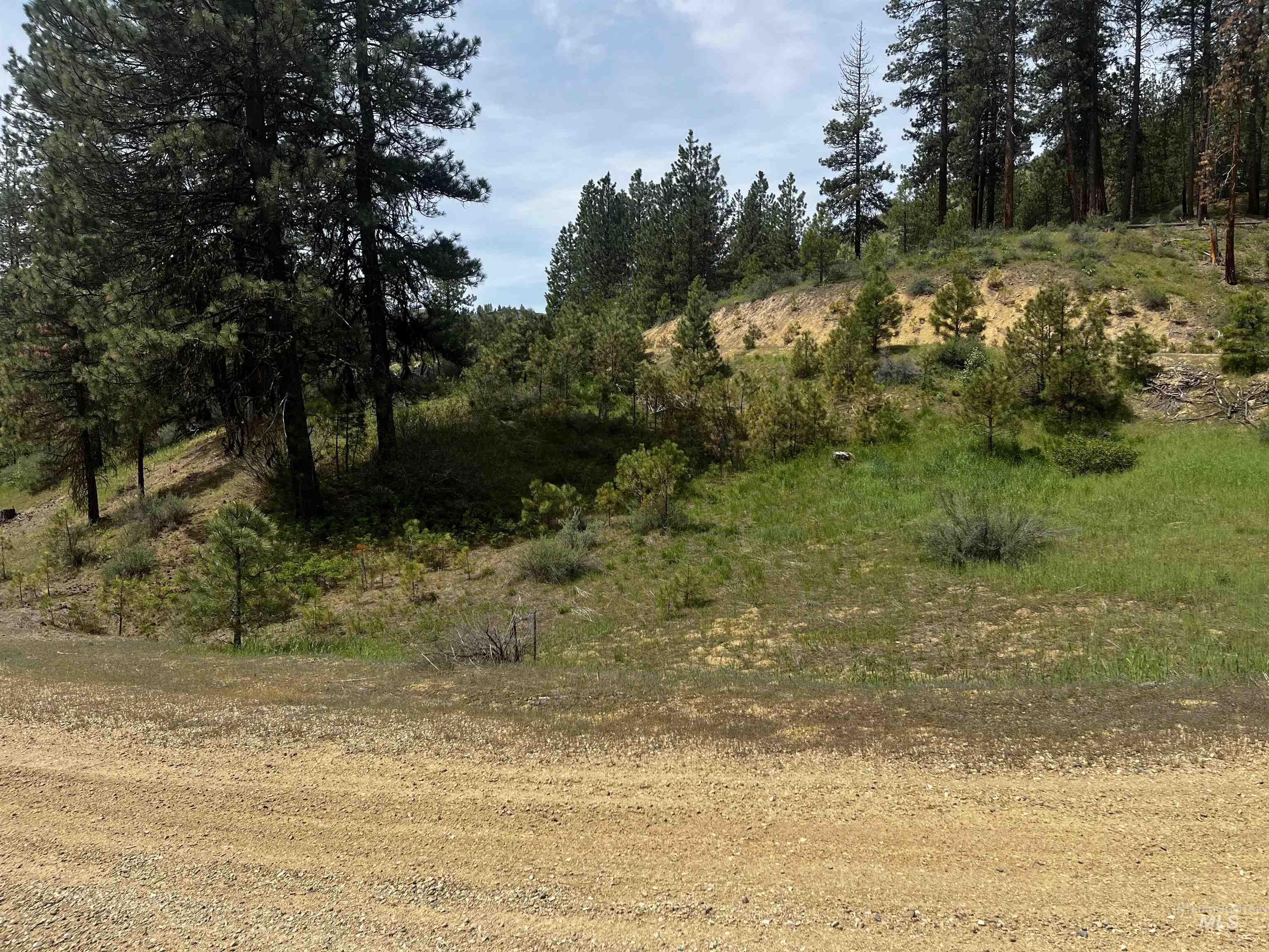 TBD Napias Lot 21, Boise, Idaho 83716, Land For Sale, Price $175,000,MLS 98971949
