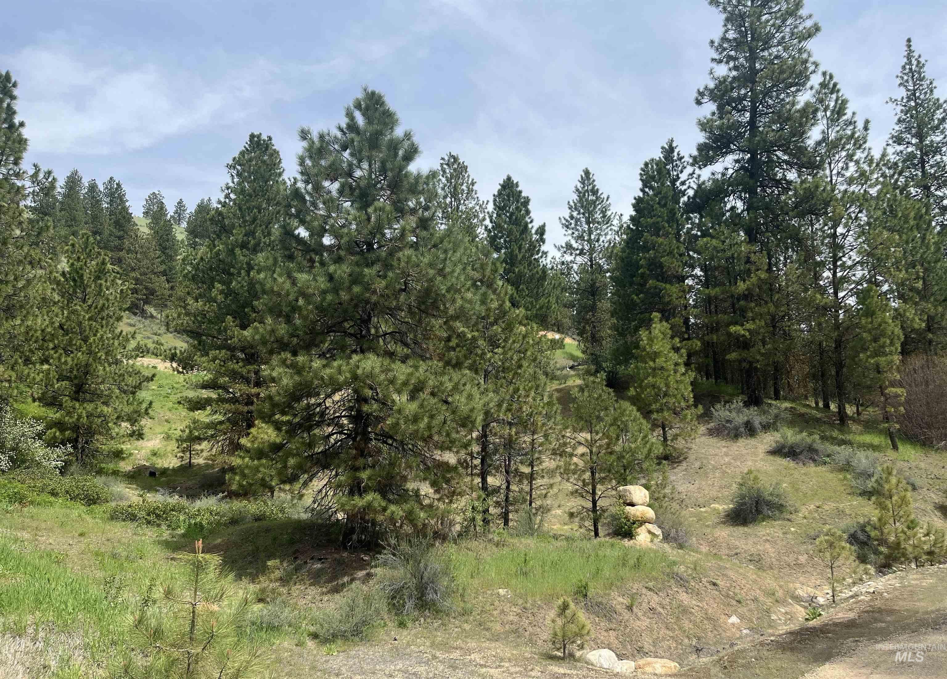 TBD Napias Lot 21, Boise, Idaho 83716, Land For Sale, Price $175,000,MLS 98971949