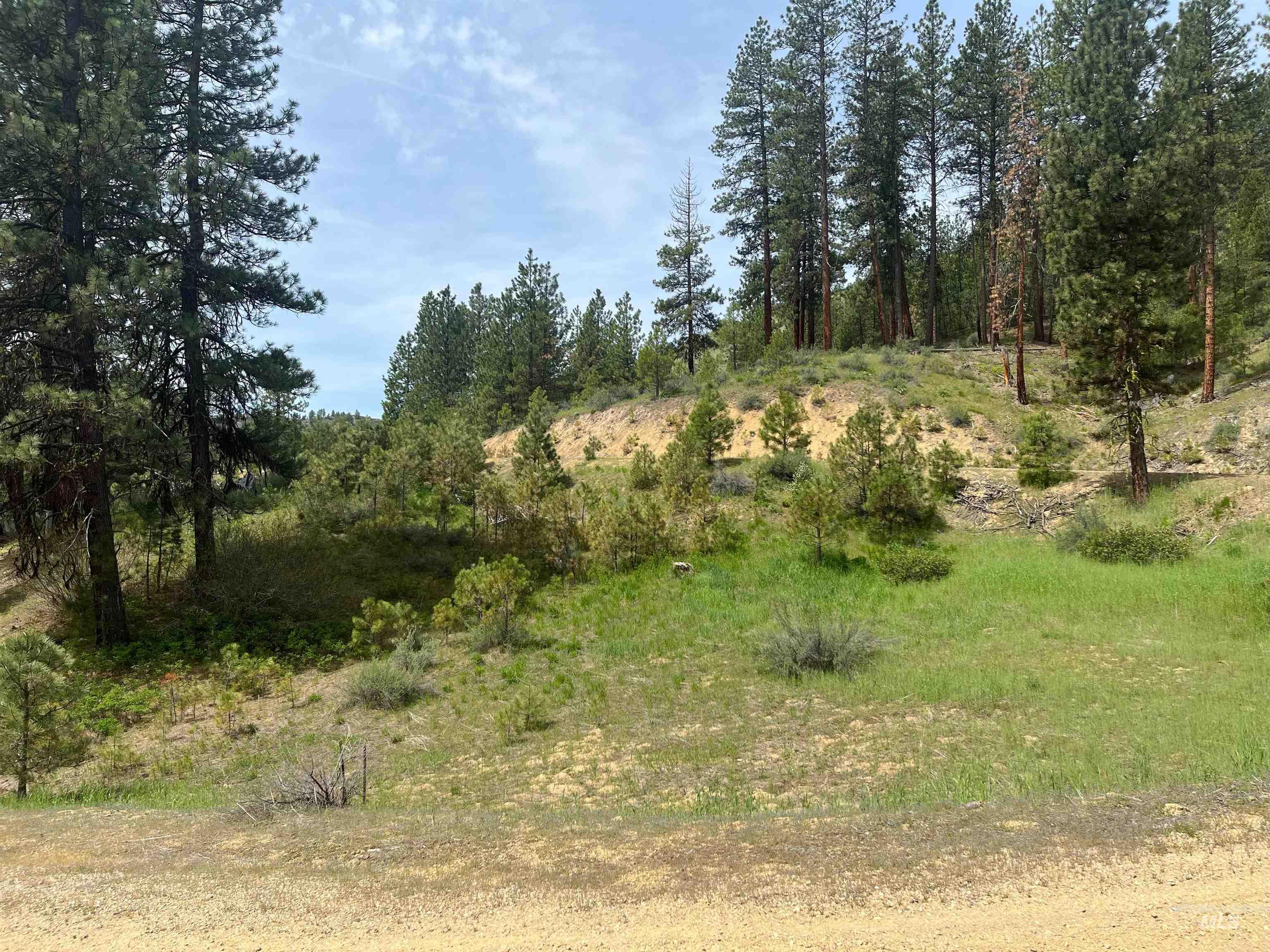 TBD Napias Lot 21, Boise, Idaho 83716, Land For Sale, Price $175,000,MLS 98971949