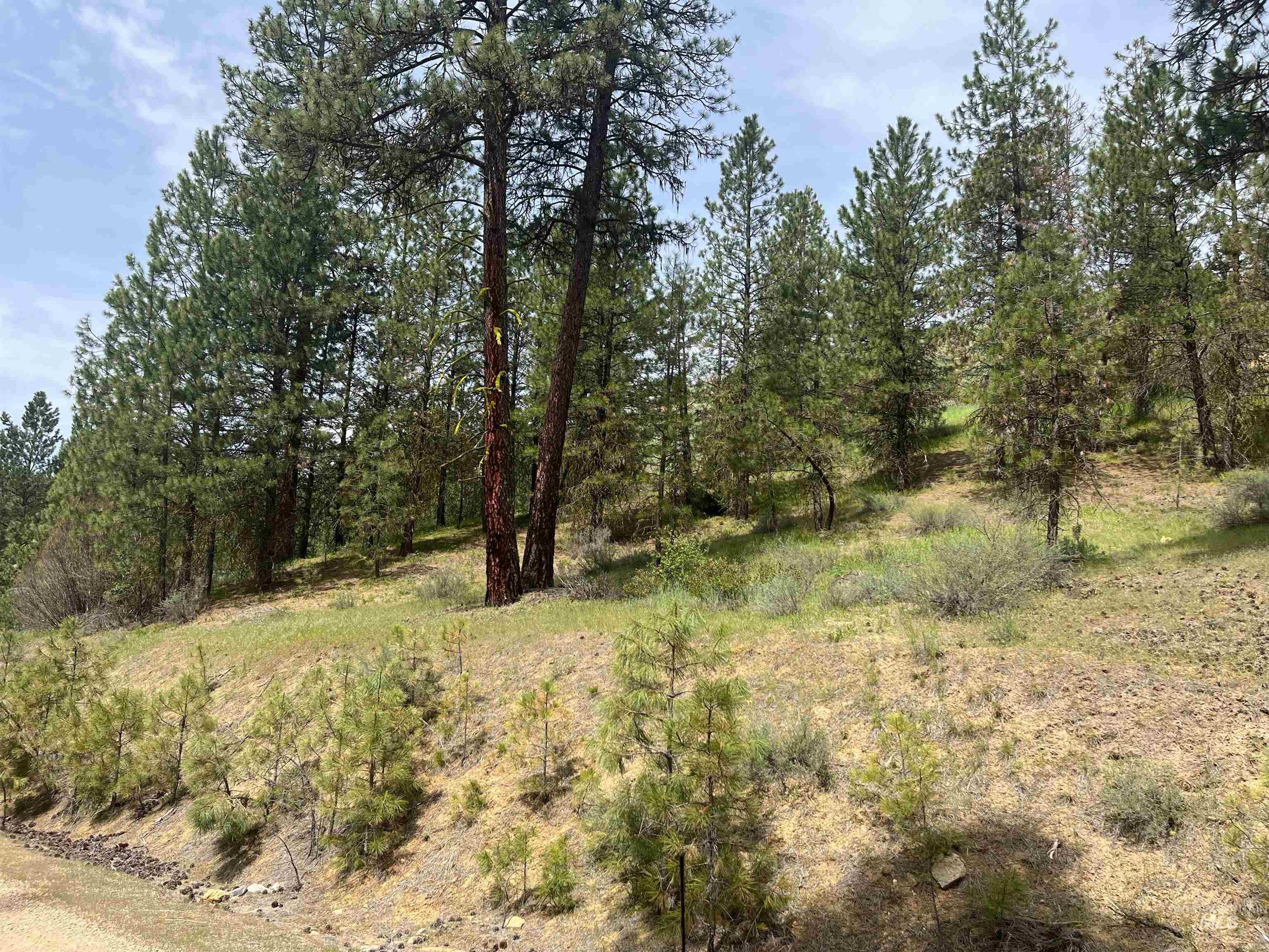 TBD Napias Lot 21, Boise, Idaho 83716, Land For Sale, Price $175,000,MLS 98971949