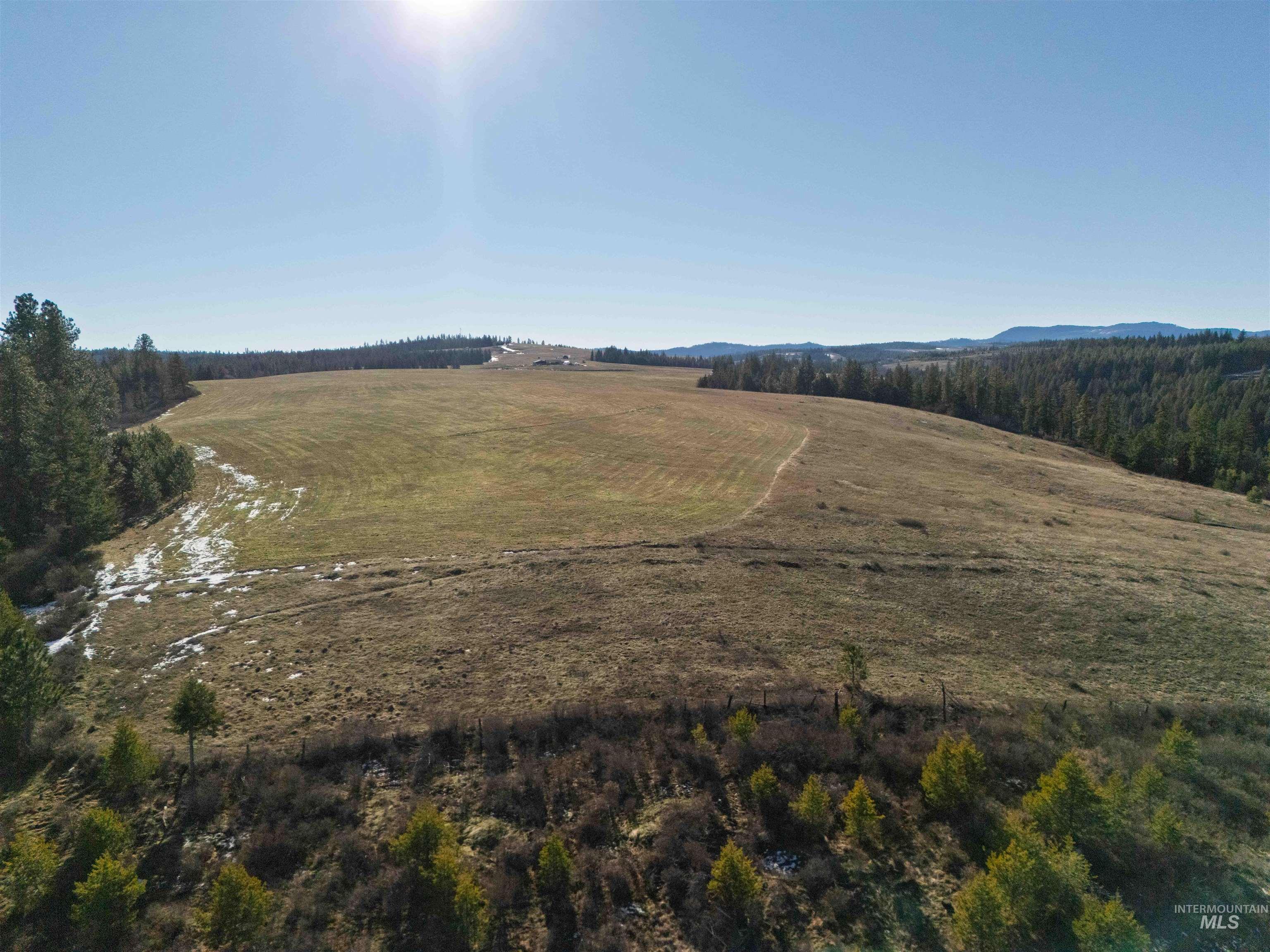 1017 Laura Lane, Princeton, Idaho 83857, Land For Sale, Price $789,000,MLS 98972008