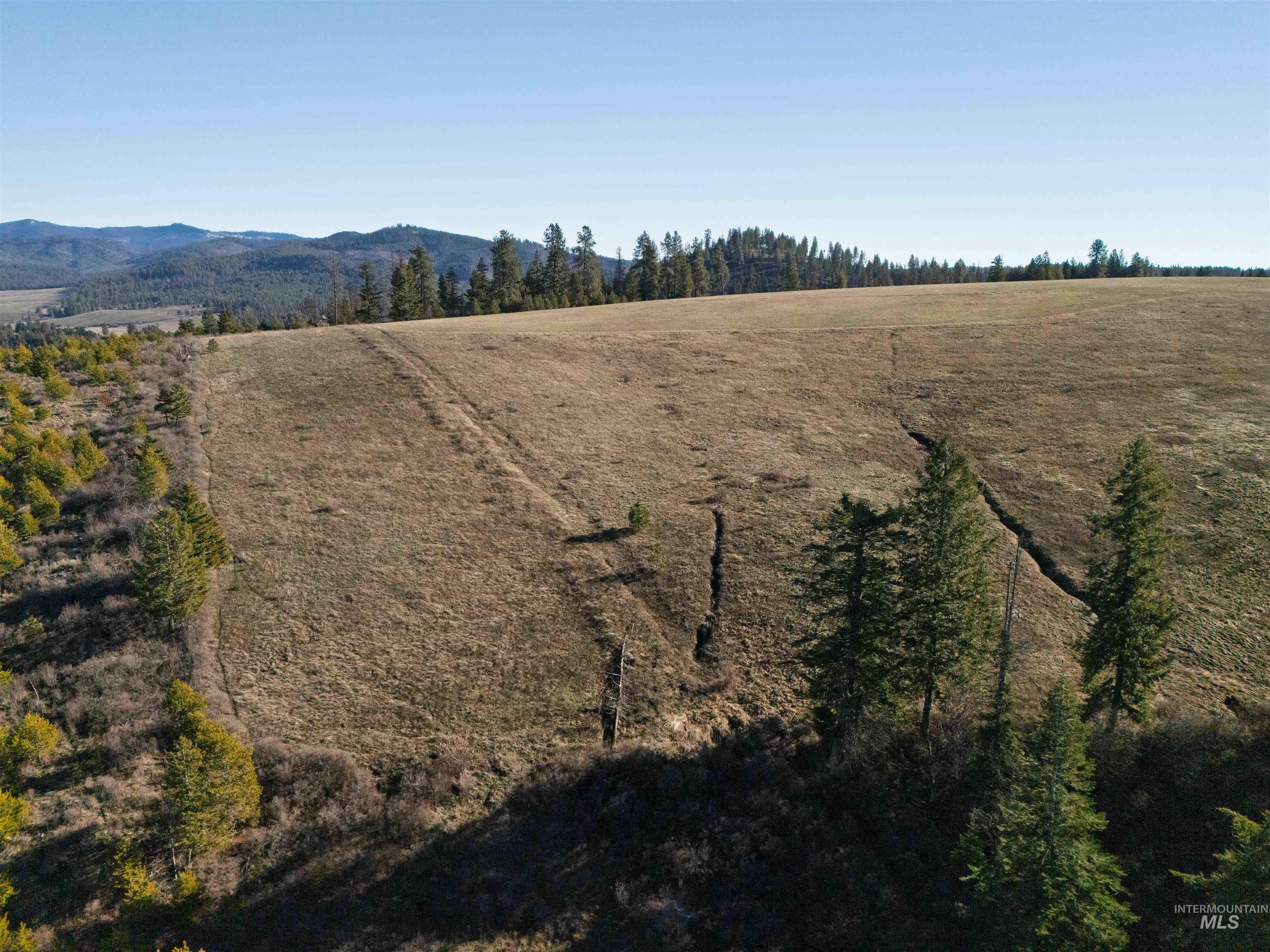 1017 Laura Lane, Princeton, Idaho 83857, Land For Sale, Price $789,000,MLS 98972008