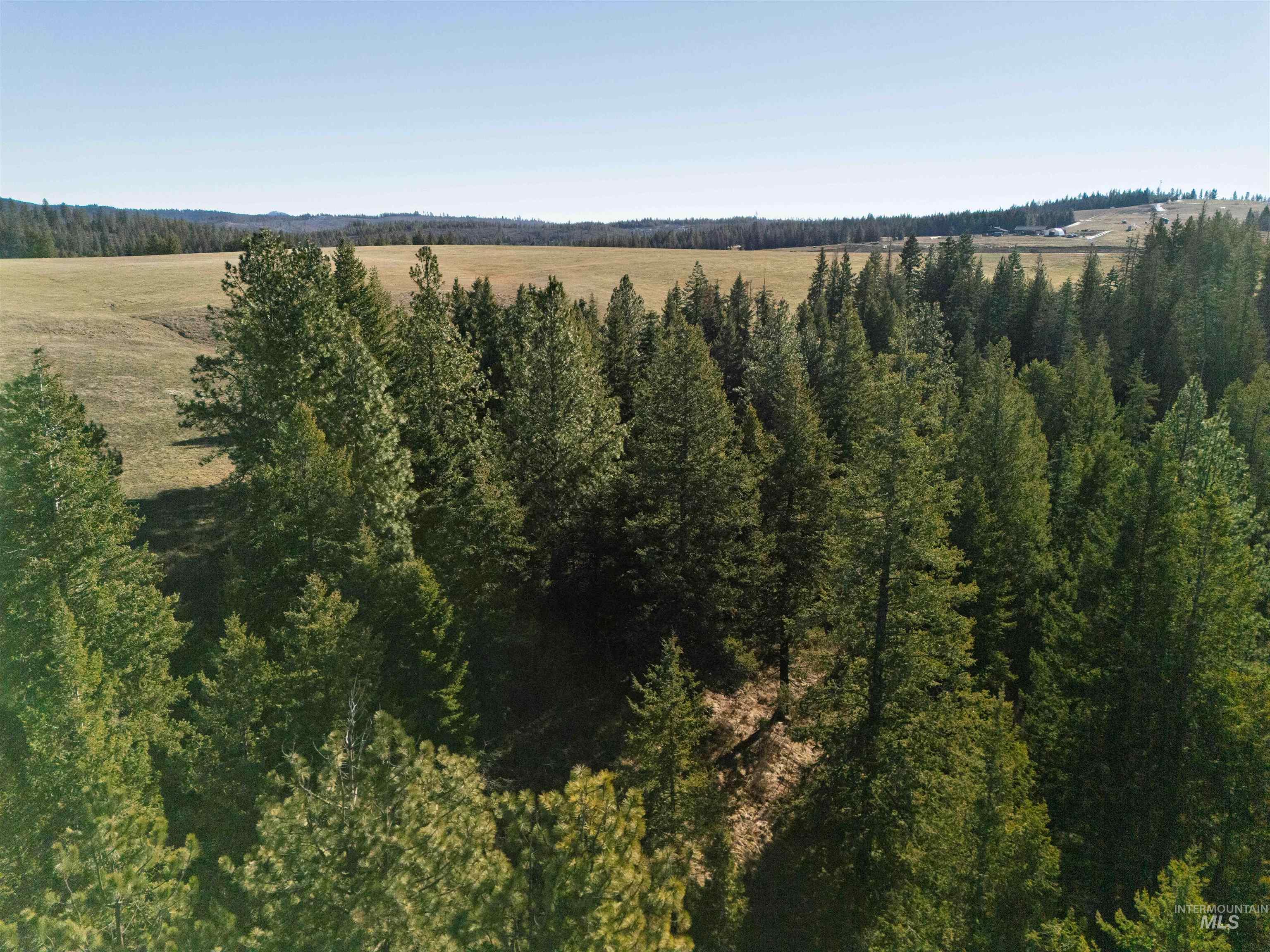1017 Laura Lane, Princeton, Idaho 83857, Land For Sale, Price $789,000,MLS 98972008