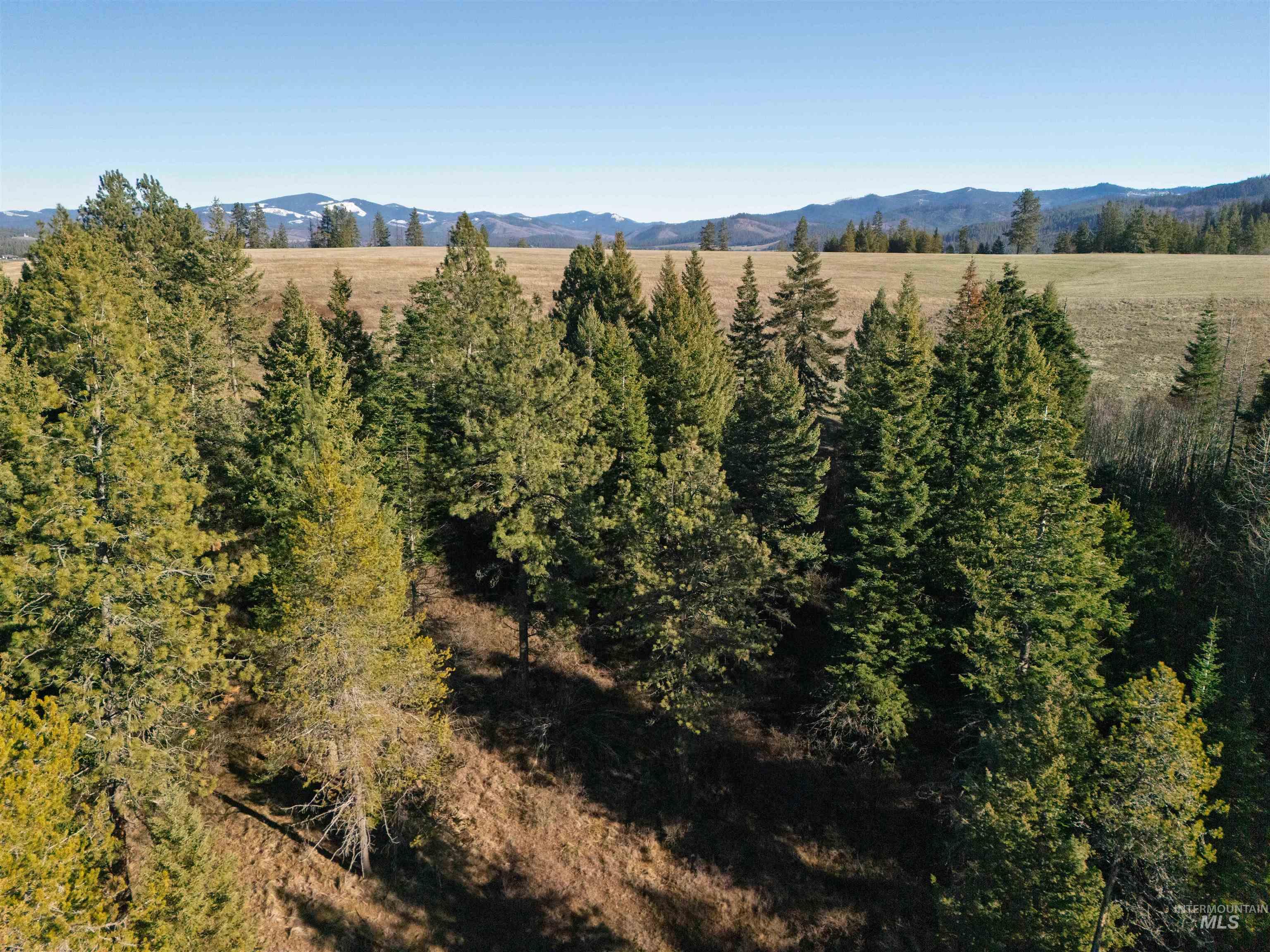 1017 Laura Lane, Princeton, Idaho 83857, Land For Sale, Price $789,000,MLS 98972008