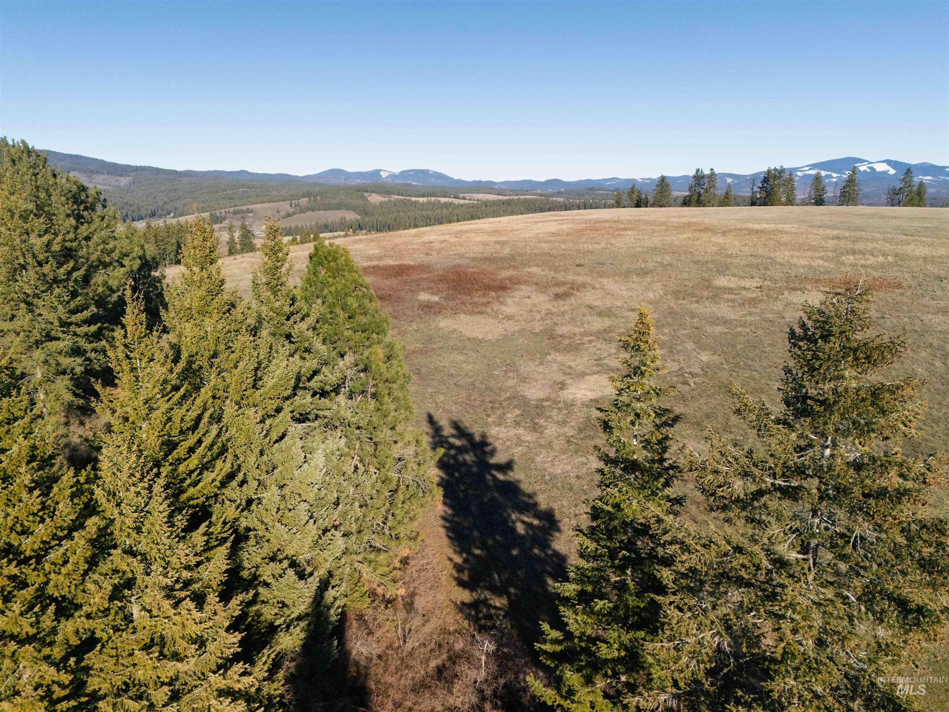 1017 Laura Lane, Princeton, Idaho 83857, Land For Sale, Price $789,000,MLS 98972008