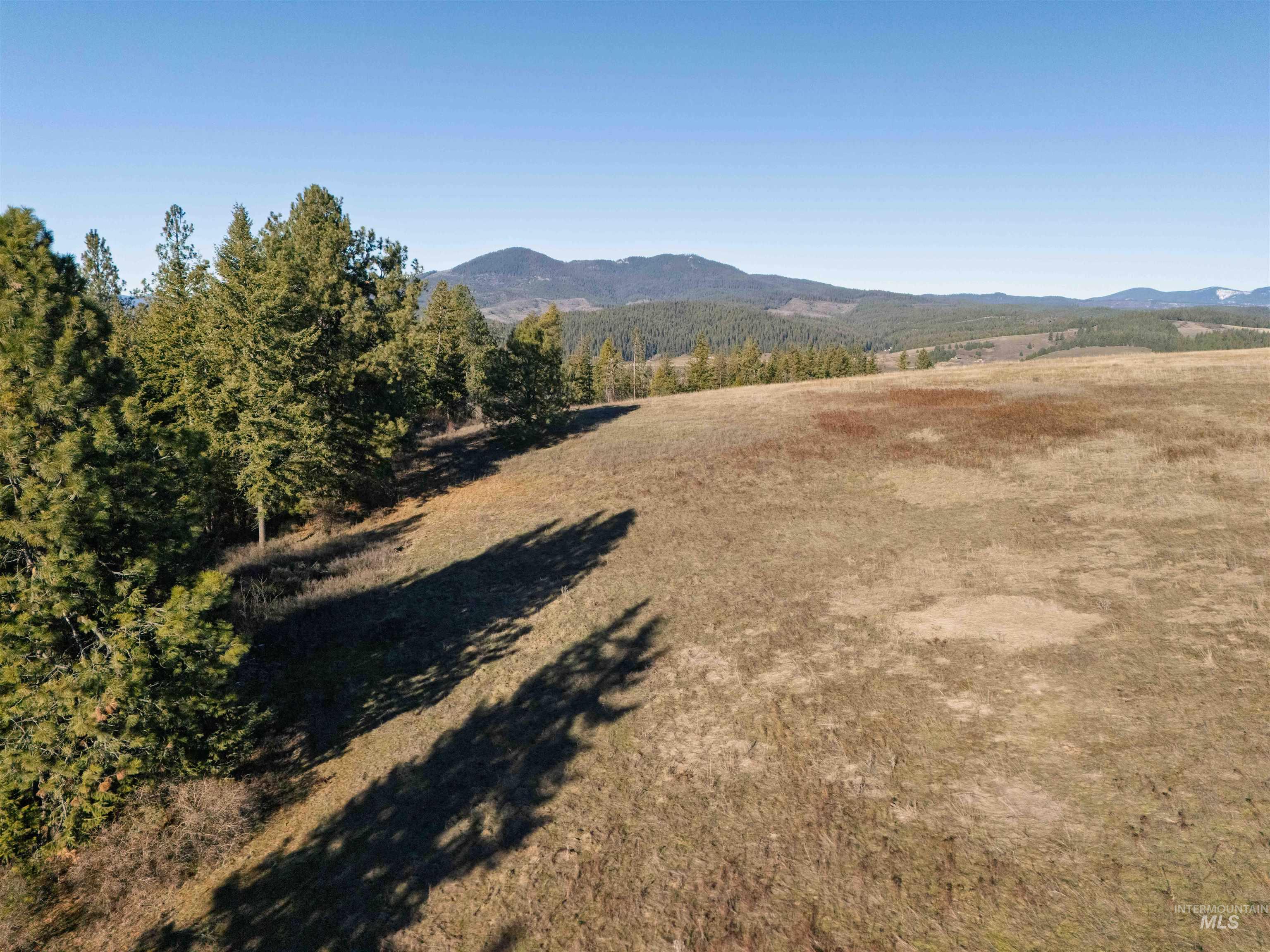 1017 Laura Lane, Princeton, Idaho 83857, Land For Sale, Price $789,000,MLS 98972008