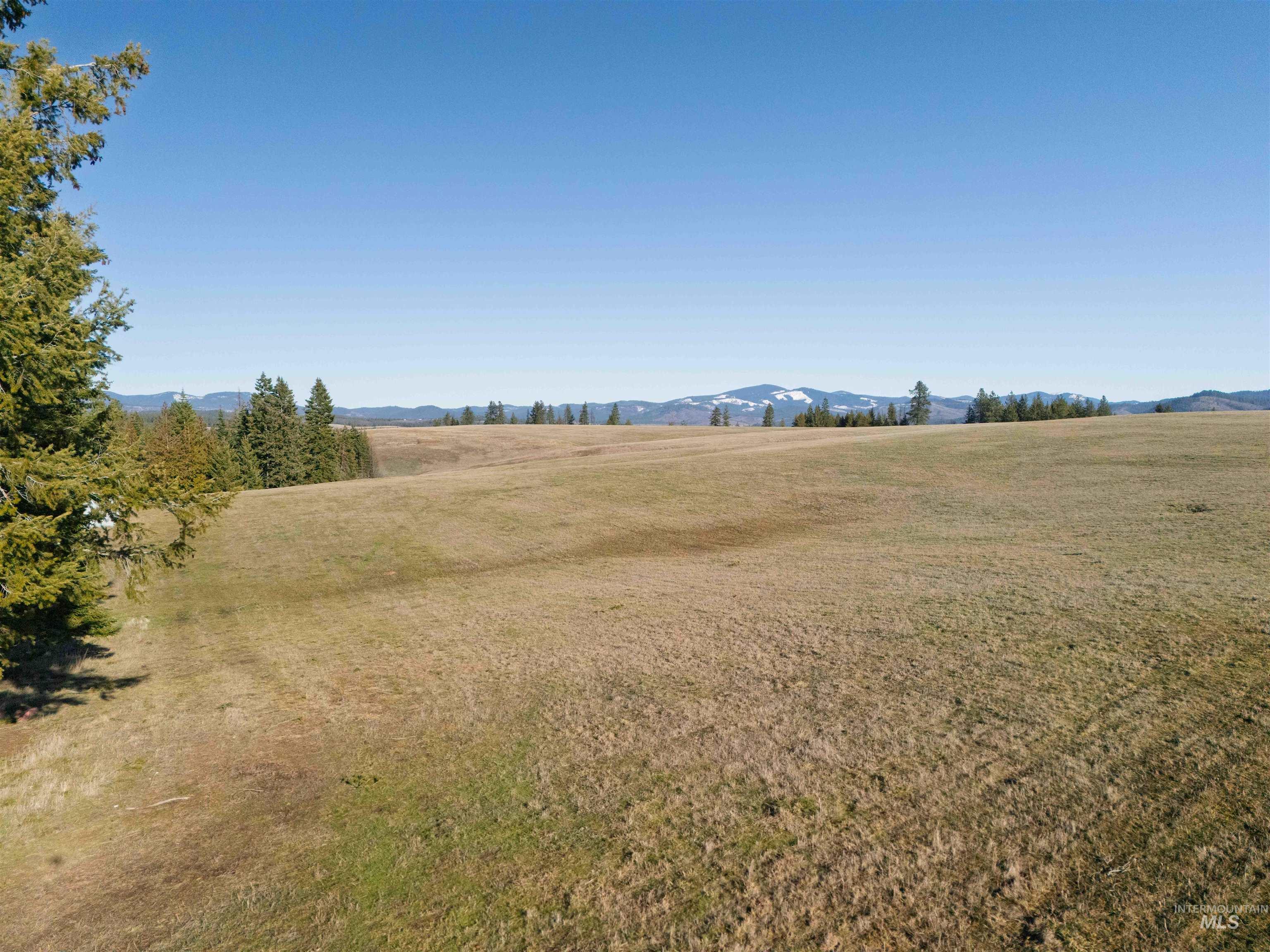 1017 Laura Lane, Princeton, Idaho 83857, Land For Sale, Price $789,000,MLS 98972008