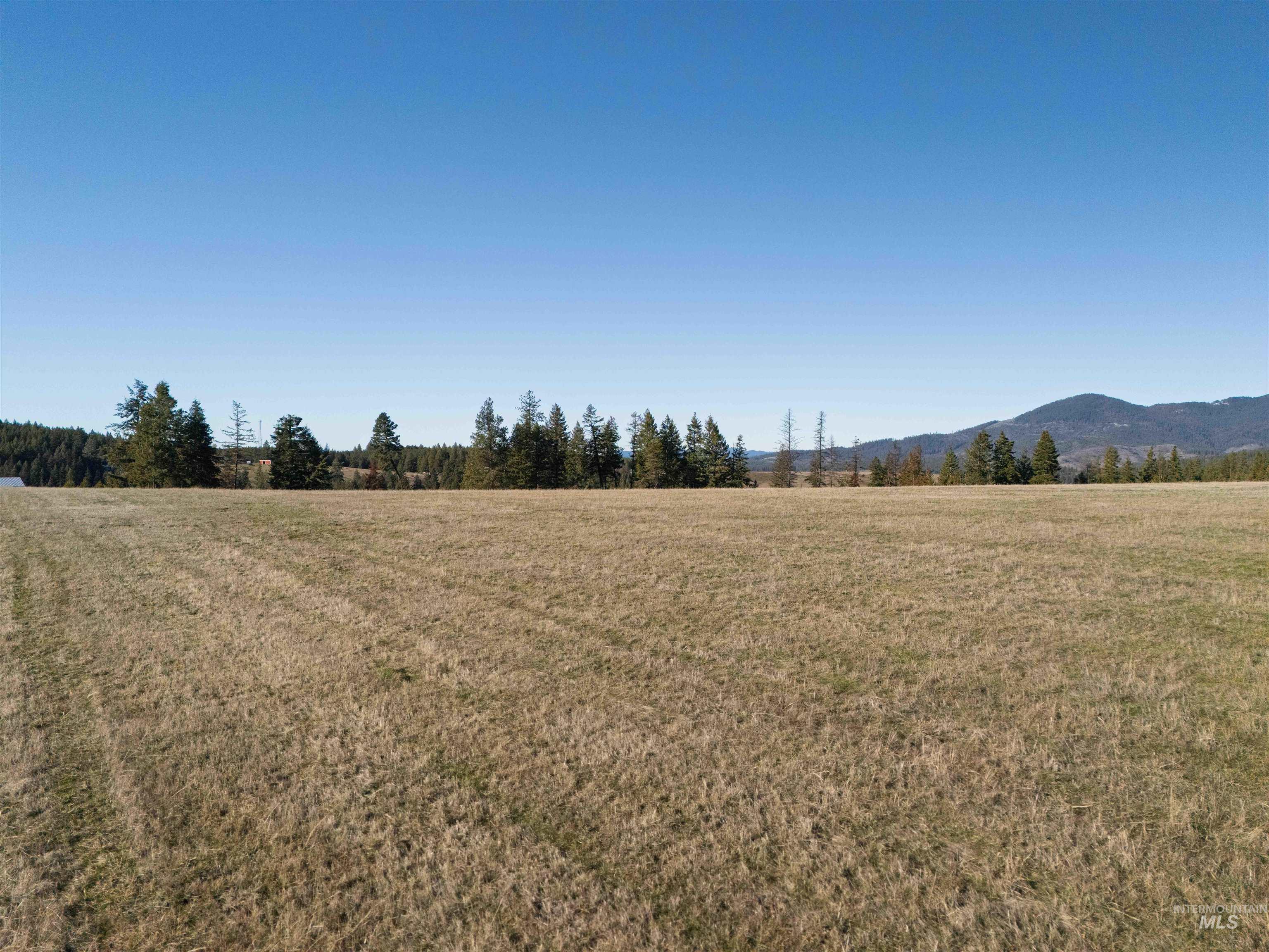 1017 Laura Lane, Princeton, Idaho 83857, Land For Sale, Price $789,000,MLS 98972008