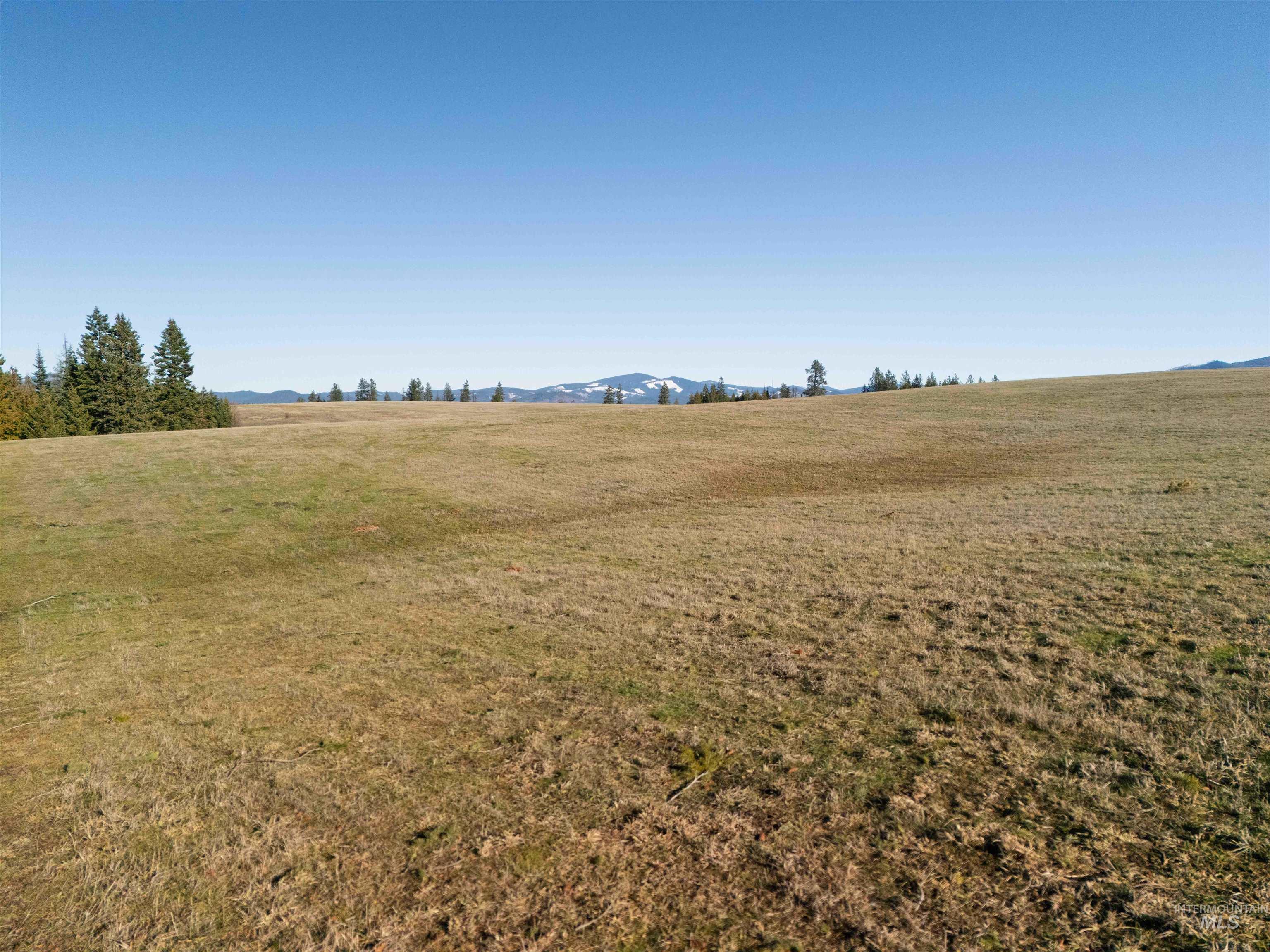 1017 Laura Lane, Princeton, Idaho 83857, Land For Sale, Price $789,000,MLS 98972008