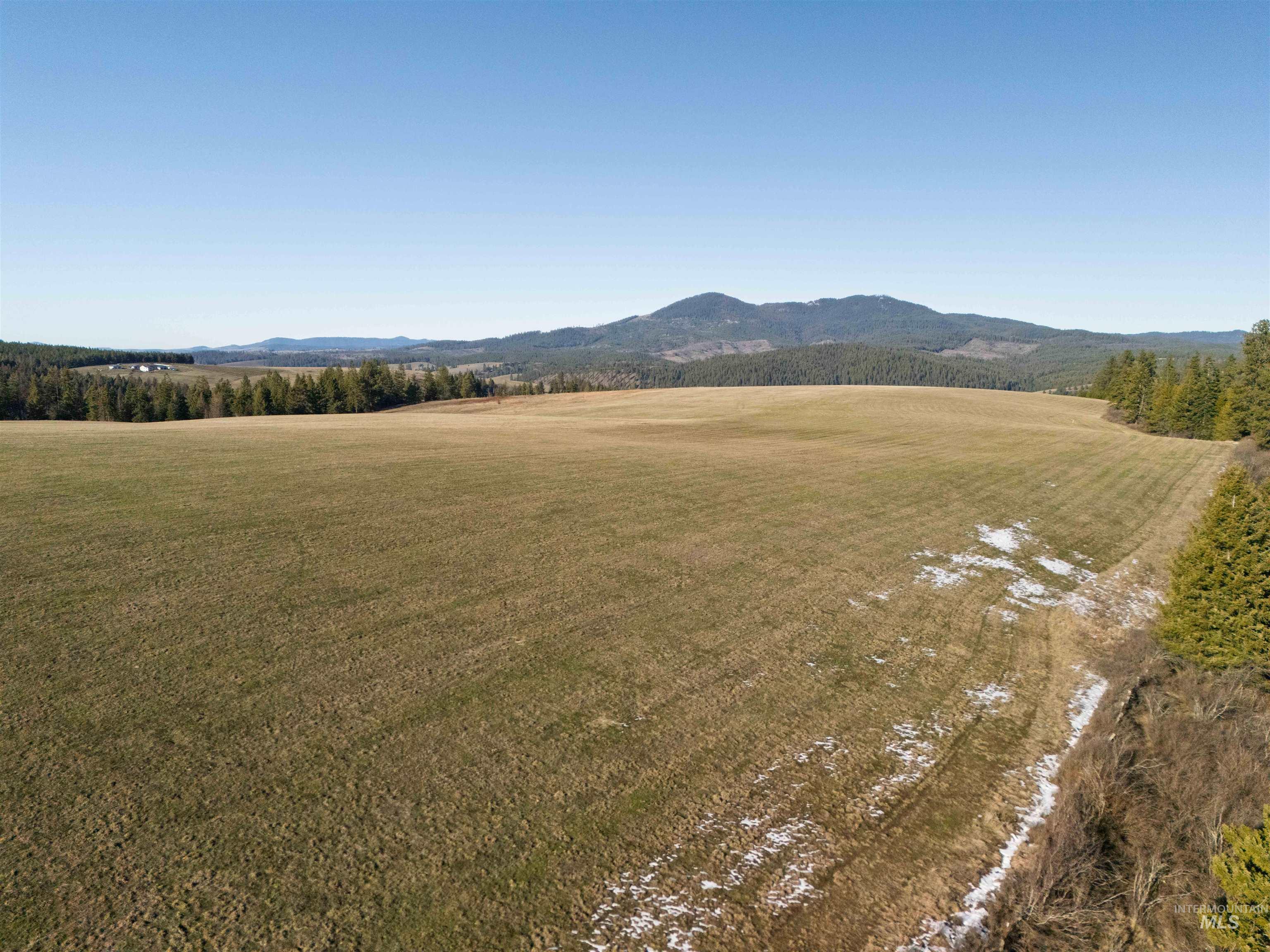 1017 Laura Lane, Princeton, Idaho 83857, Land For Sale, Price $789,000,MLS 98972008