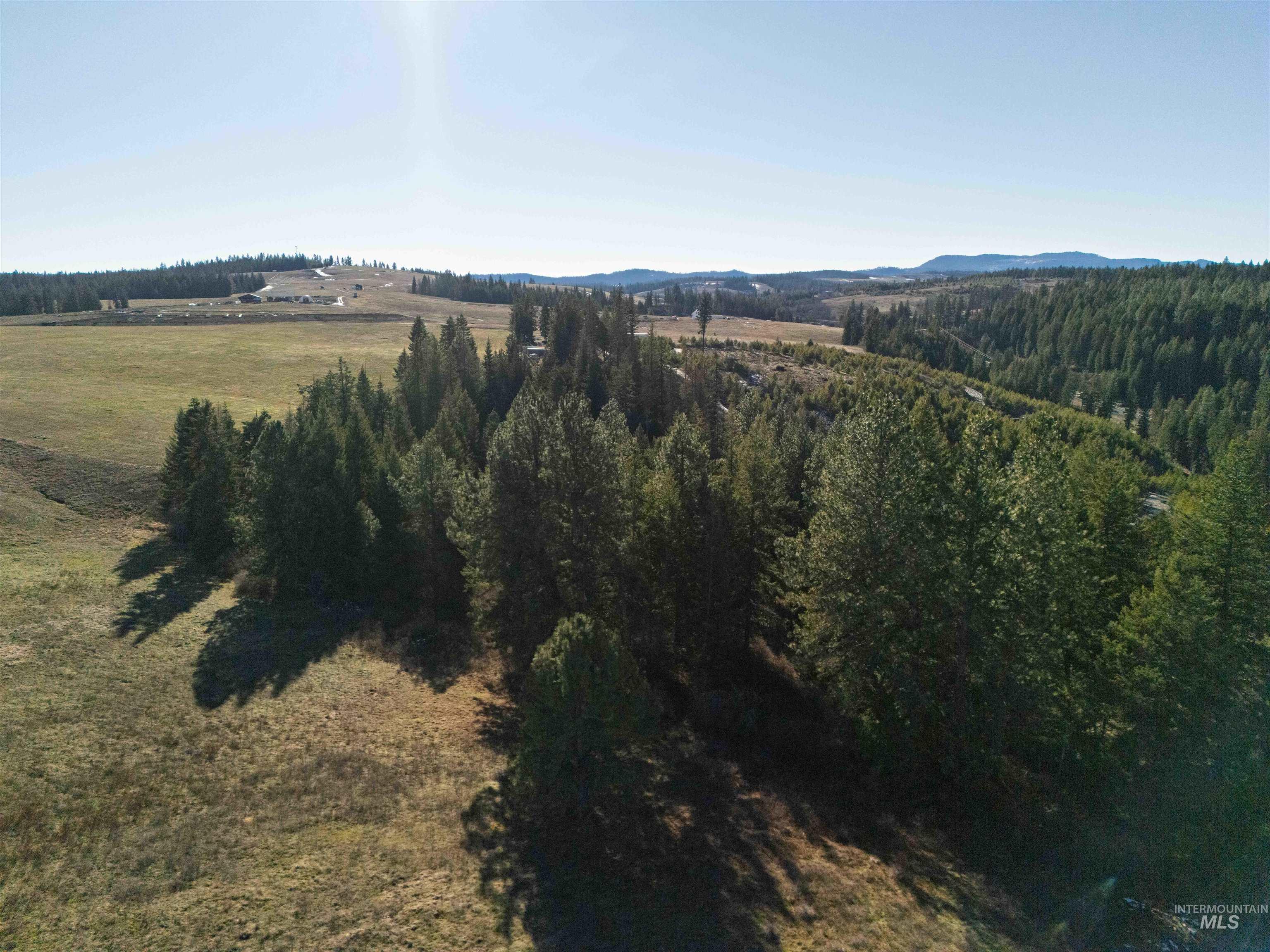 1017 Laura Lane, Princeton, Idaho 83857, Land For Sale, Price $789,000,MLS 98972008