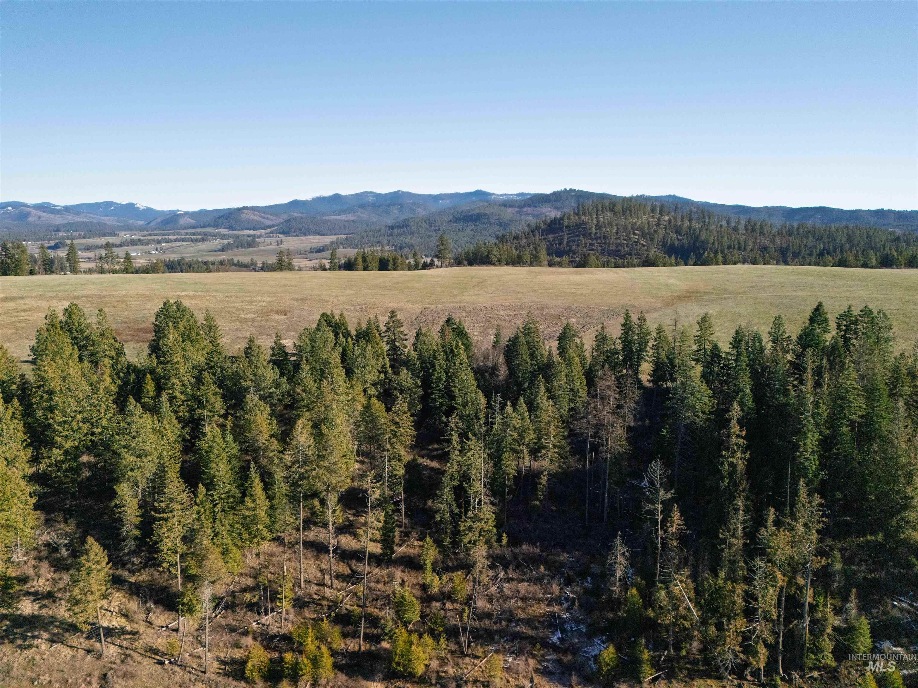 1017 Laura Lane, Princeton, Idaho 83857, Land For Sale, Price $789,000,MLS 98972008