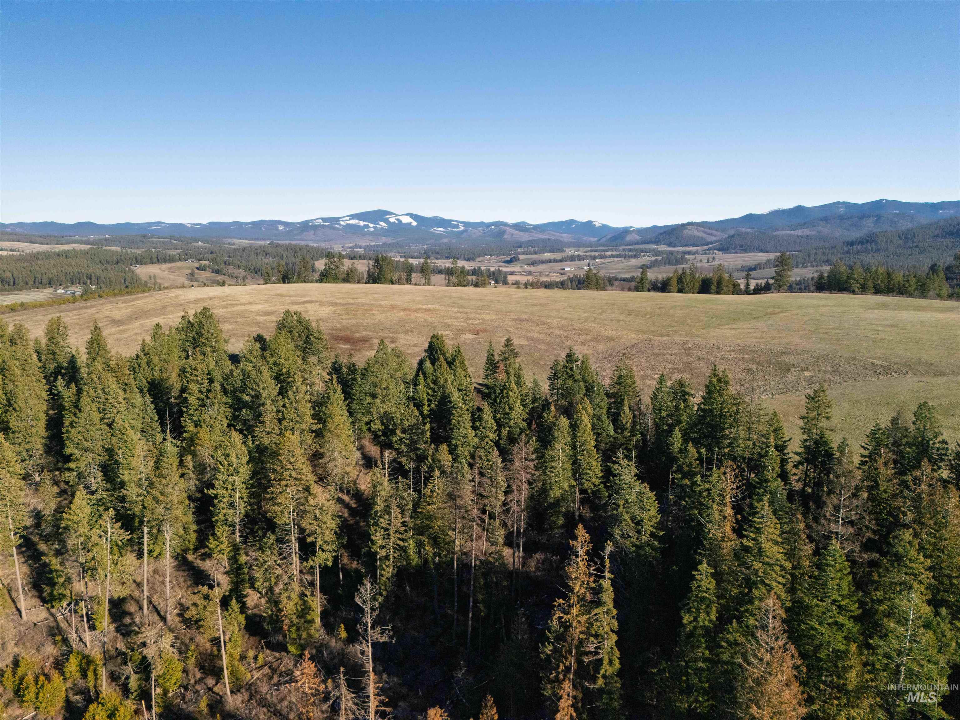 1017 Laura Lane, Princeton, Idaho 83857, Land For Sale, Price $789,000,MLS 98972008