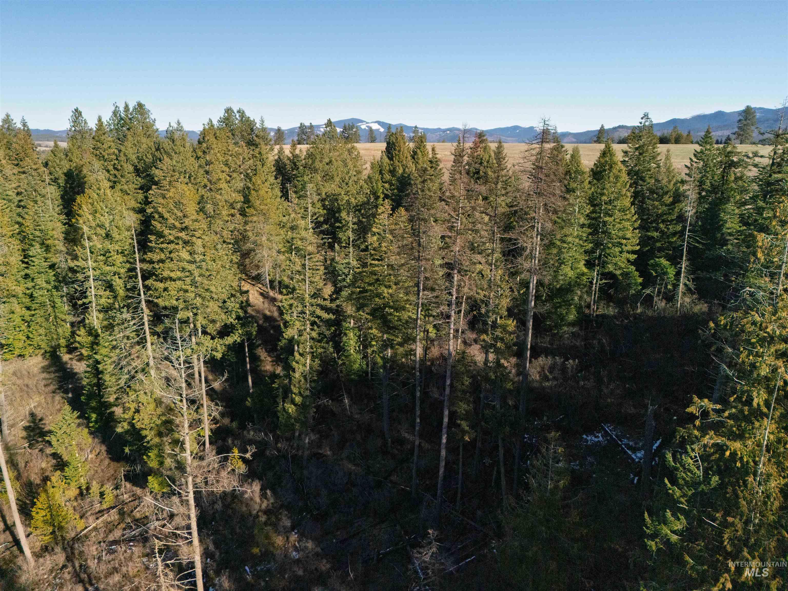 1017 Laura Lane, Princeton, Idaho 83857, Land For Sale, Price $789,000,MLS 98972008