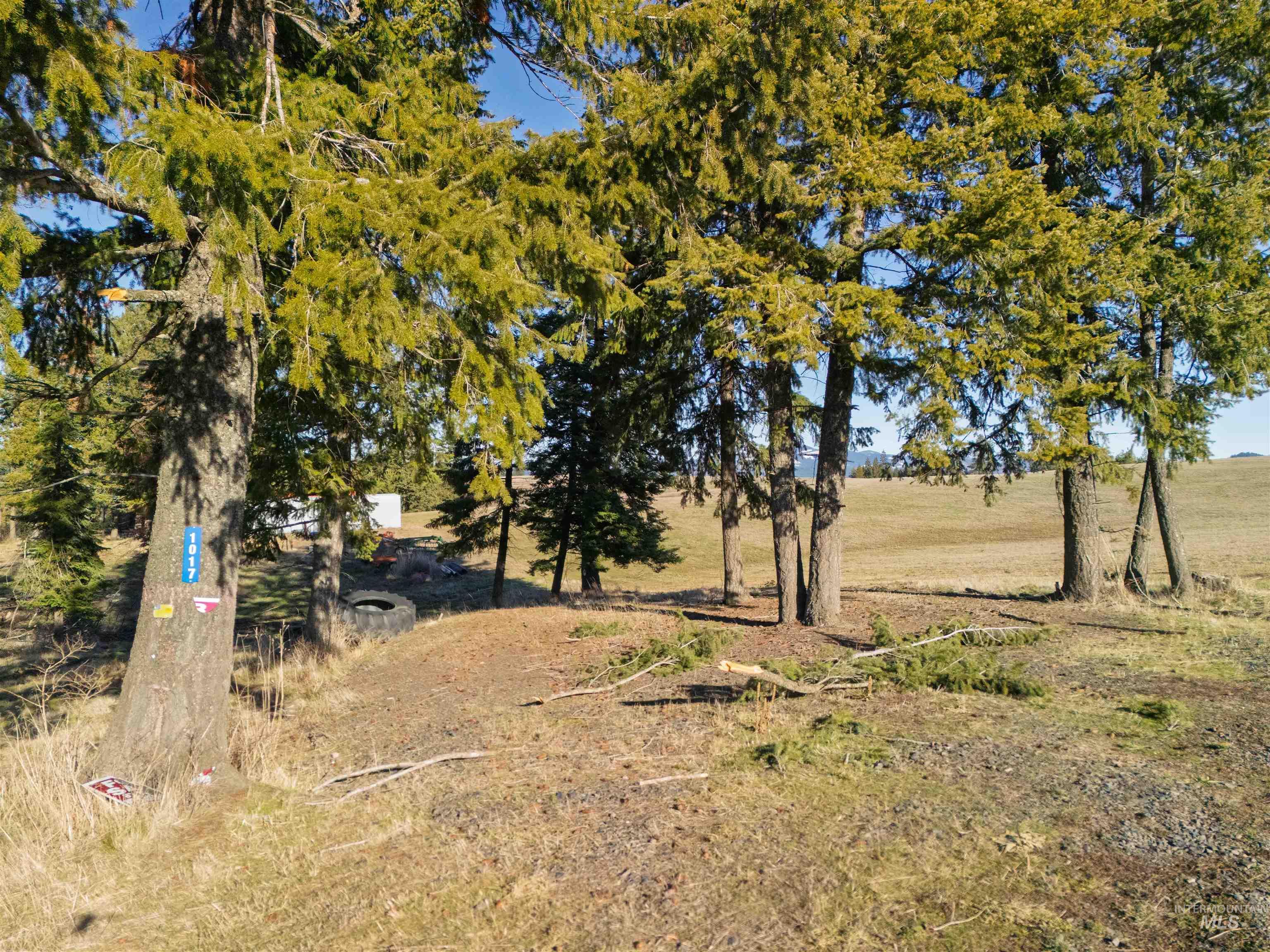1017 Laura Lane, Princeton, Idaho 83857, Land For Sale, Price $789,000,MLS 98972008