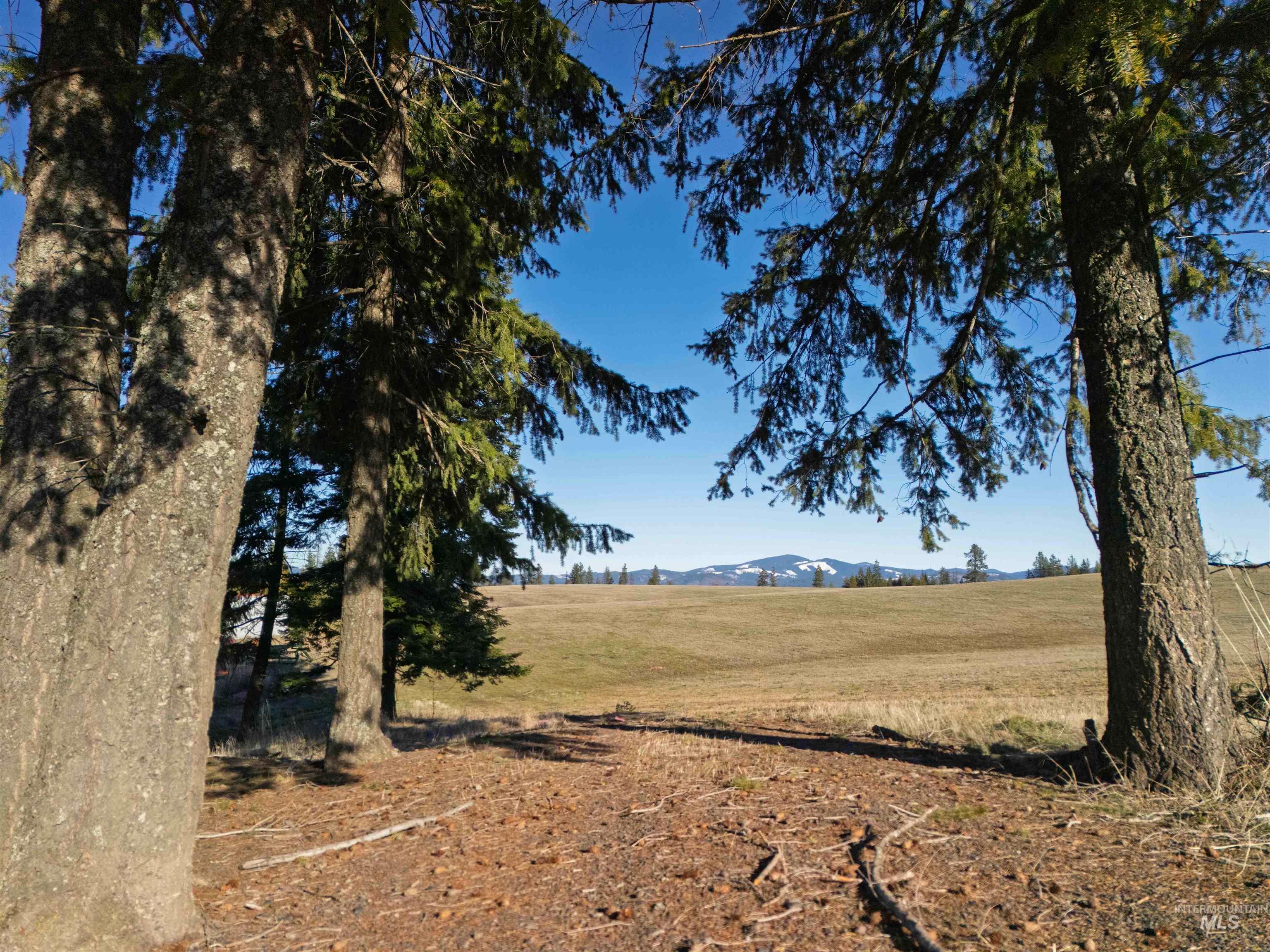 1017 Laura Lane, Princeton, Idaho 83857, Land For Sale, Price $789,000,MLS 98972008