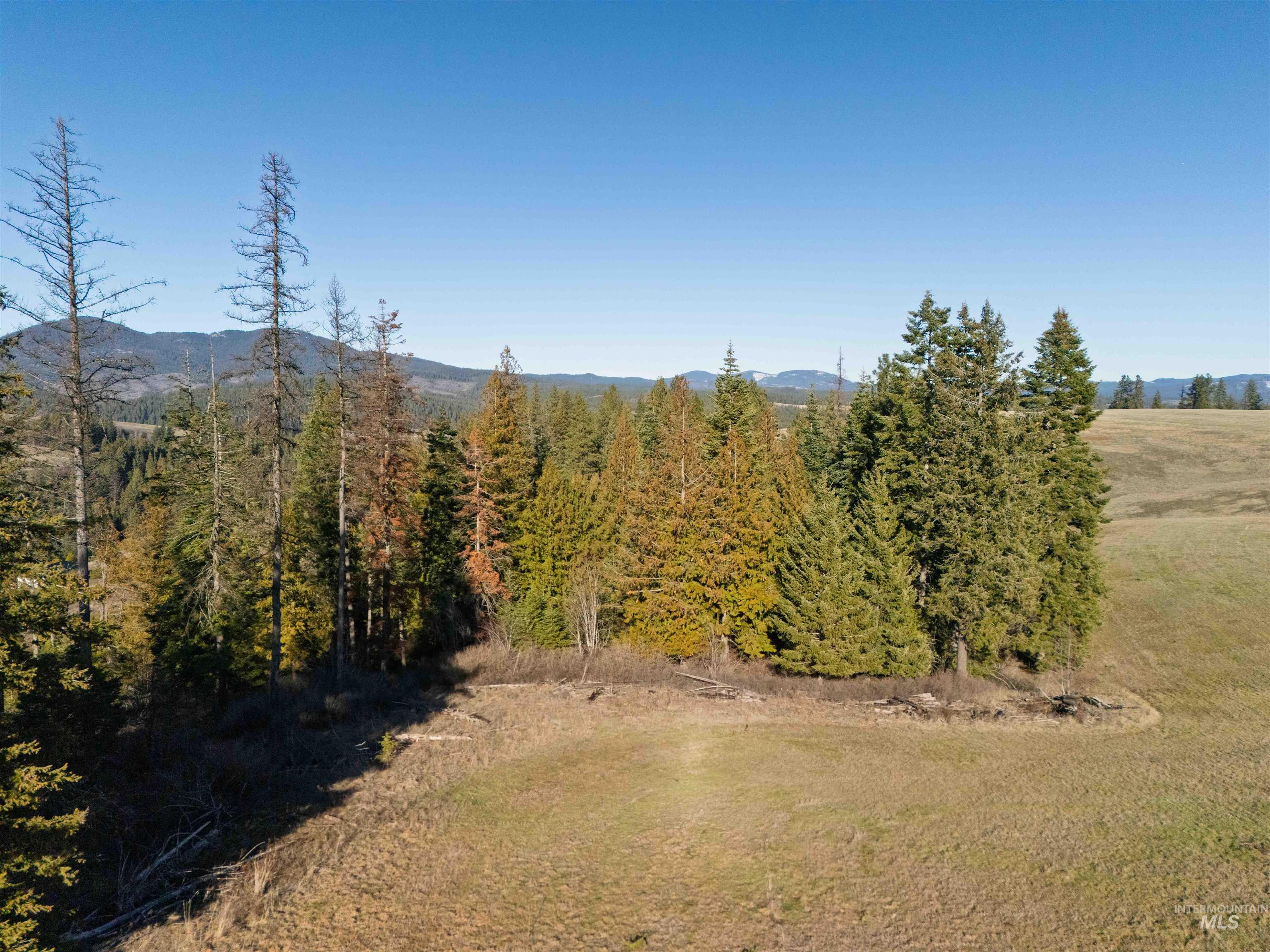 1017 Laura Lane, Princeton, Idaho 83857, Land For Sale, Price $789,000,MLS 98972008