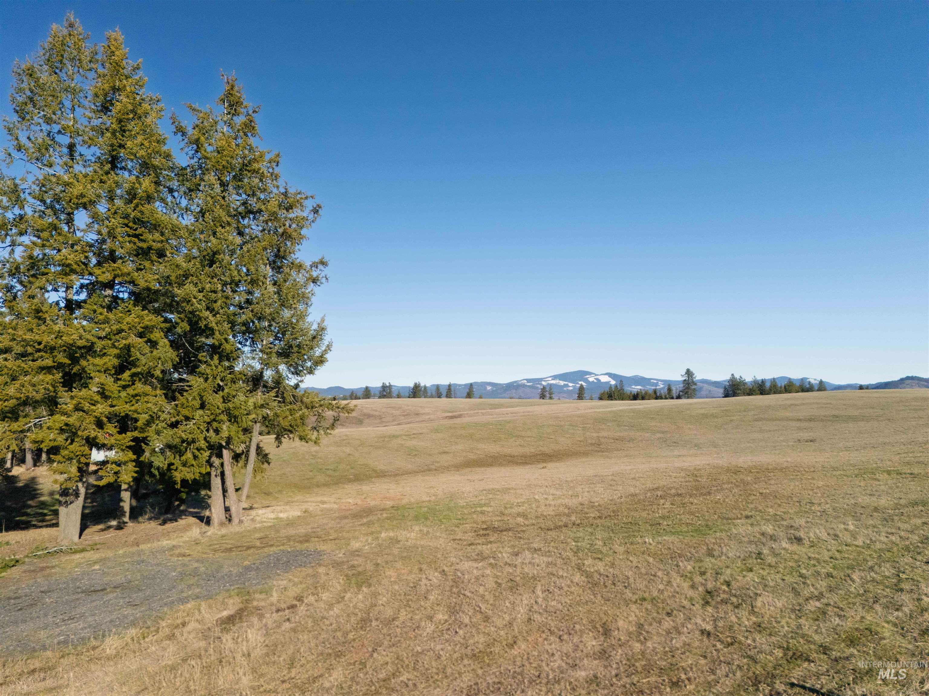 1017 Laura Lane, Princeton, Idaho 83857, Land For Sale, Price $789,000,MLS 98972008