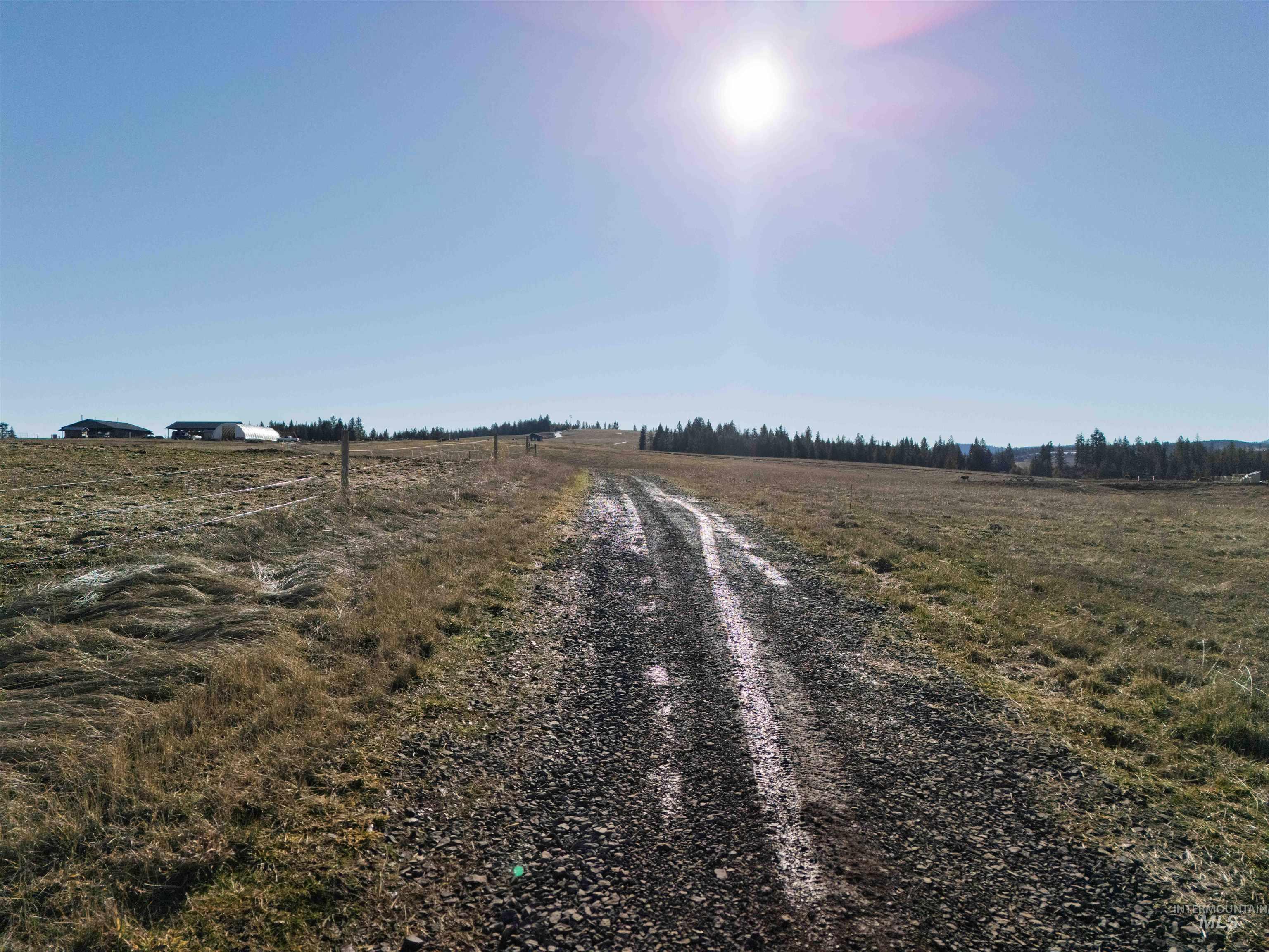 1017 Laura Lane, Princeton, Idaho 83857, Land For Sale, Price $789,000,MLS 98972008