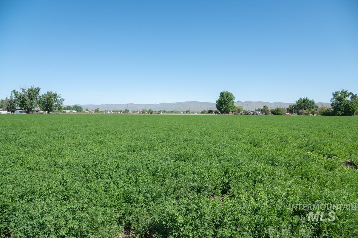 733 Pringle Rd., Weiser, Idaho 83672, 3 Bedrooms, 2 Bathrooms, Residential For Sale, Price $1,150,000,MLS 98972028