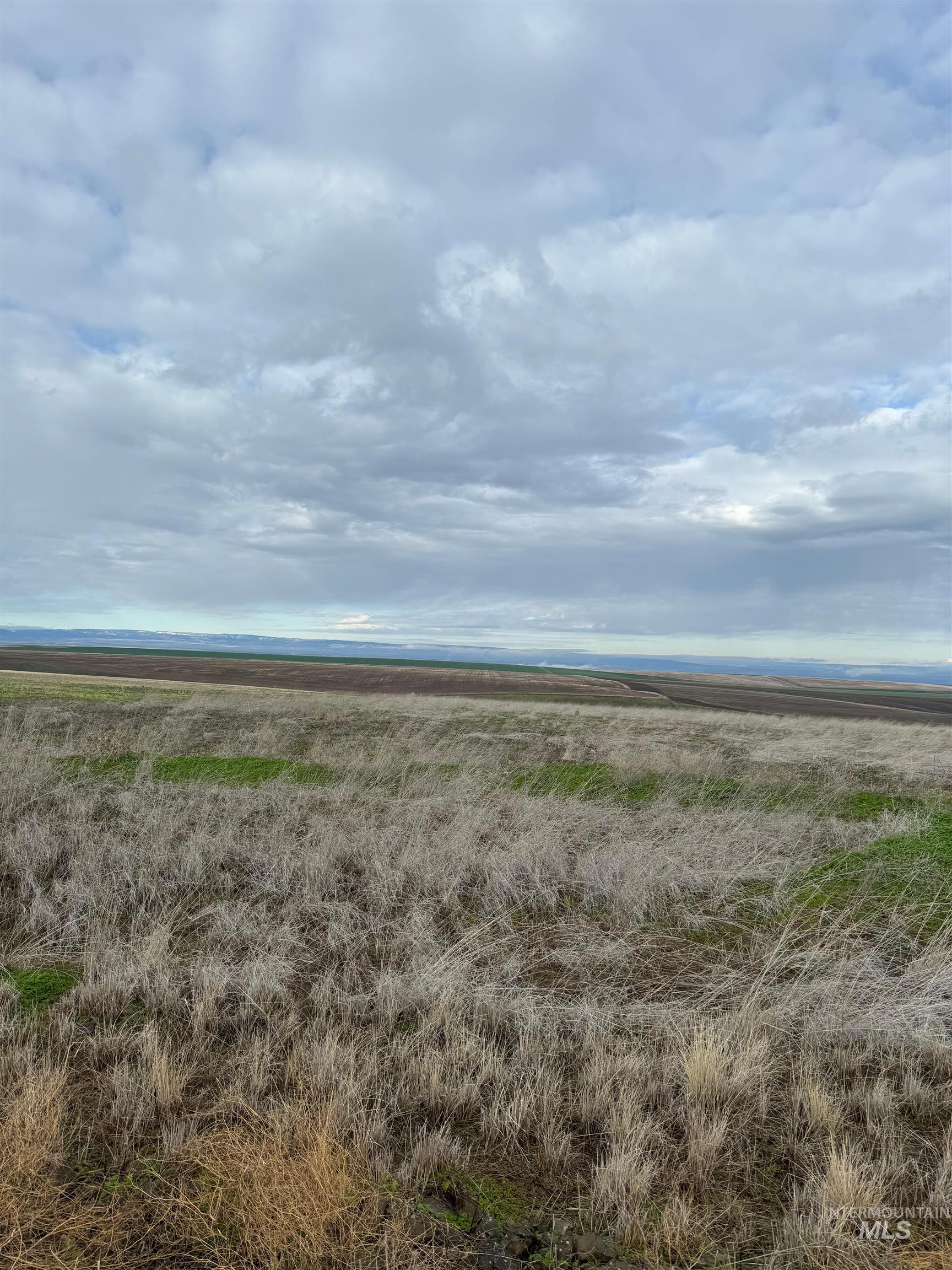 Lot 11A TBD Pheasant Loop RD, Lewiston, Idaho 83501, Land For Sale, Price $325,000,MLS 98972094