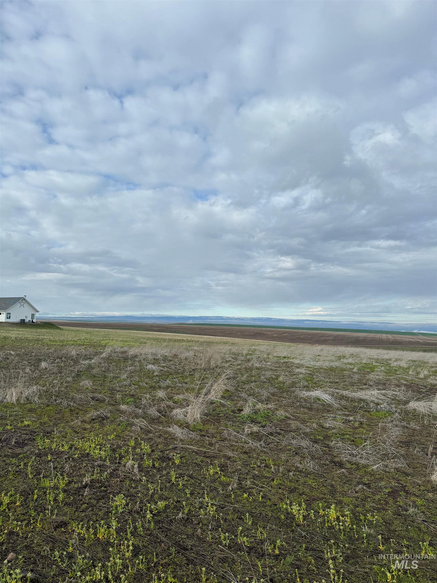 Lot 11A TBD Pheasant Loop RD, Lewiston, Idaho 83501, Land For Sale, Price $325,000,MLS 98972094