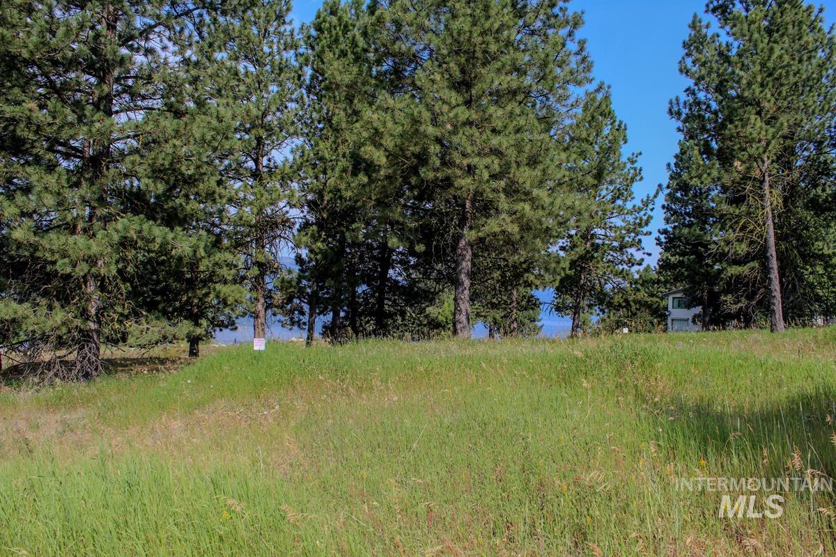 512 Jeffrey Avenue, Cascade, Idaho 83611, Land For Sale, Price $259,000,MLS 98972105