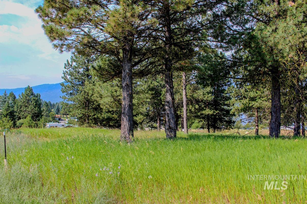 512 Jeffrey Avenue, Cascade, Idaho 83611, Land For Sale, Price $259,000,MLS 98972105