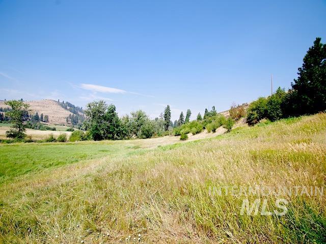 2671 W Fork Road, Council, Idaho 83612, 3 Bedrooms, 2 Bathrooms, Farm & Ranch For Sale, Price $1,495,000,MLS 98972166