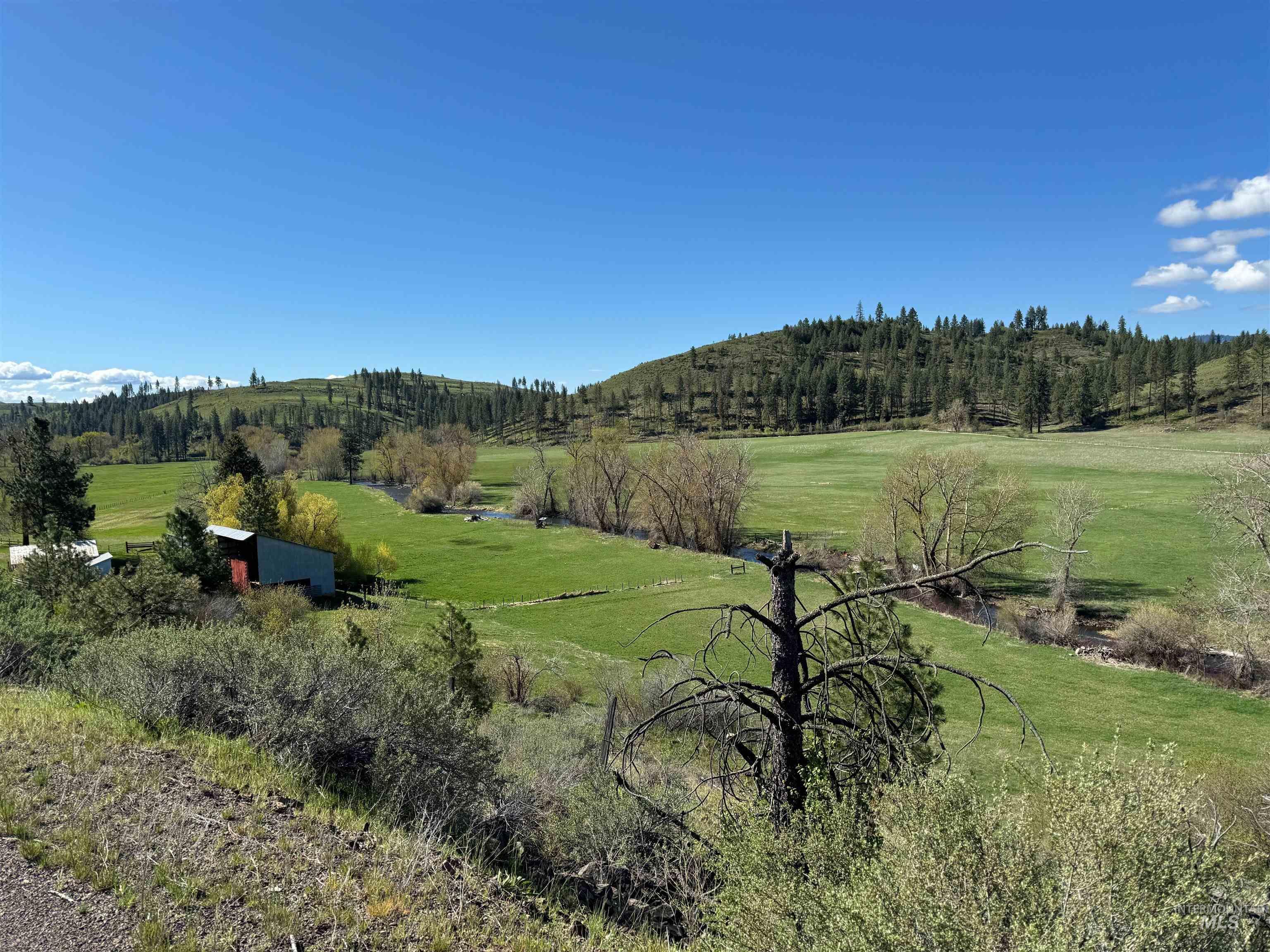 2671 W Fork Rd, Council, Idaho 83612, 3 Bedrooms, 2 Bathrooms, Residential For Sale, Price $1,495,000,MLS 98972169
