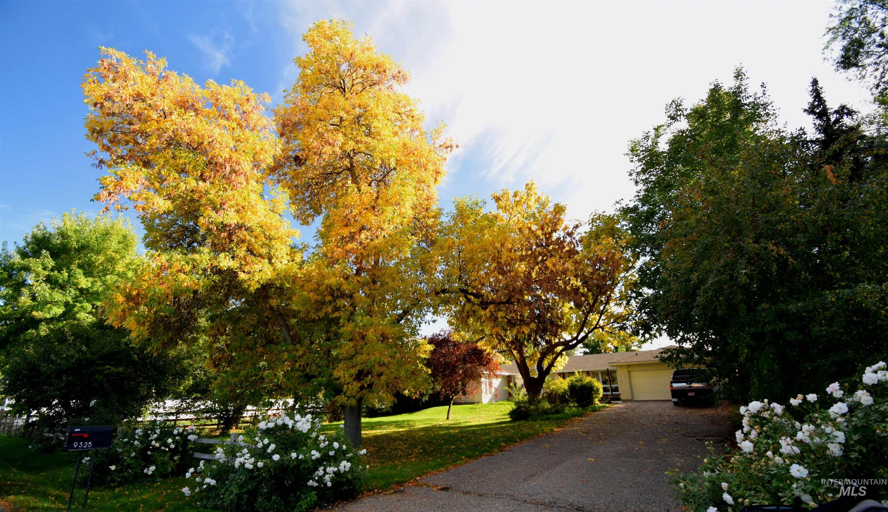 9325 W Wright St, Boise, Idaho 83709, 5 Bedrooms, 3 Bathrooms, Residential For Sale, Price $1,275,000,MLS 98972180