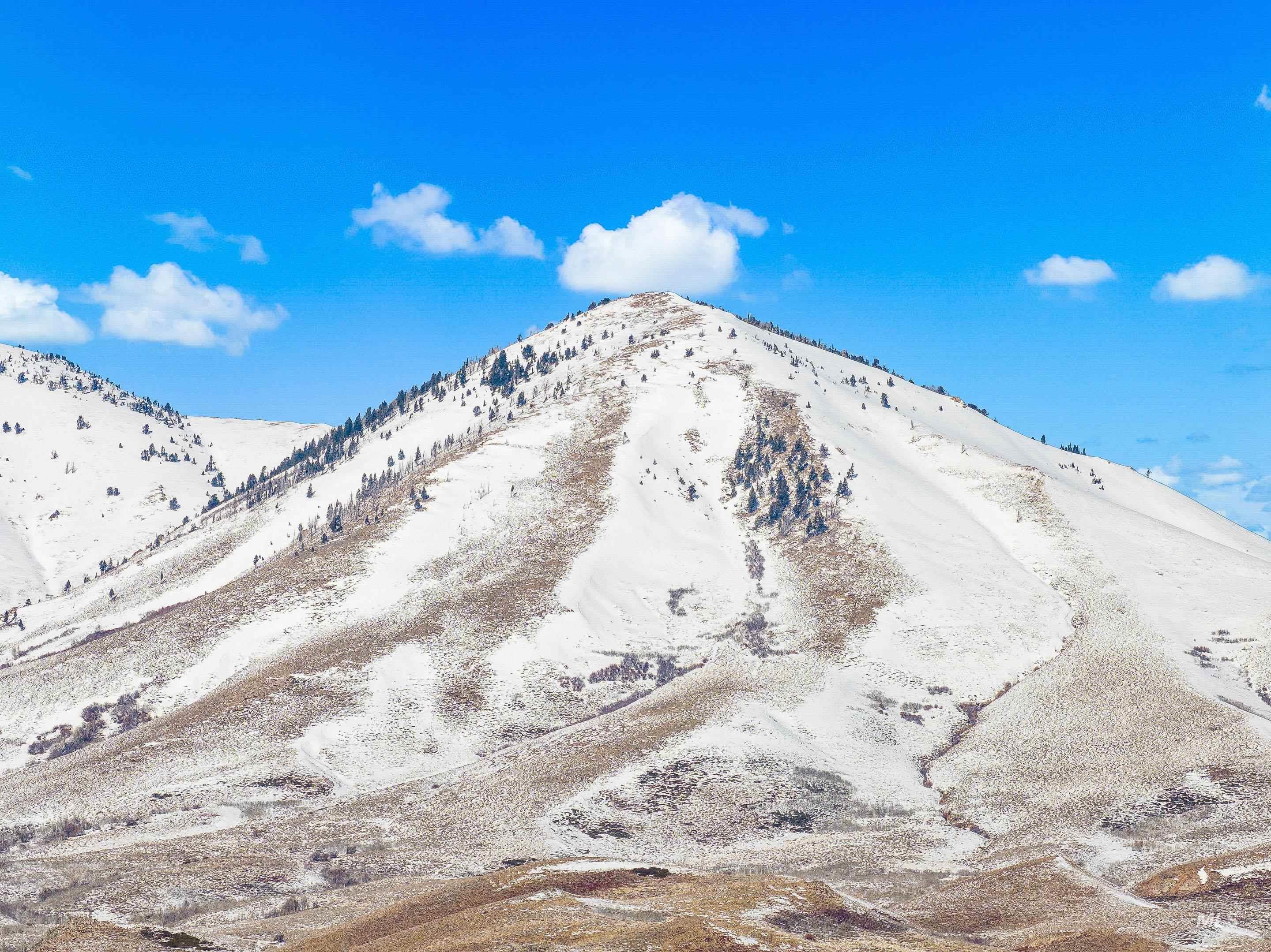 TBD Palamino, Fairfield, Idaho 83327, Land For Sale, Price $225,000,MLS 98972190