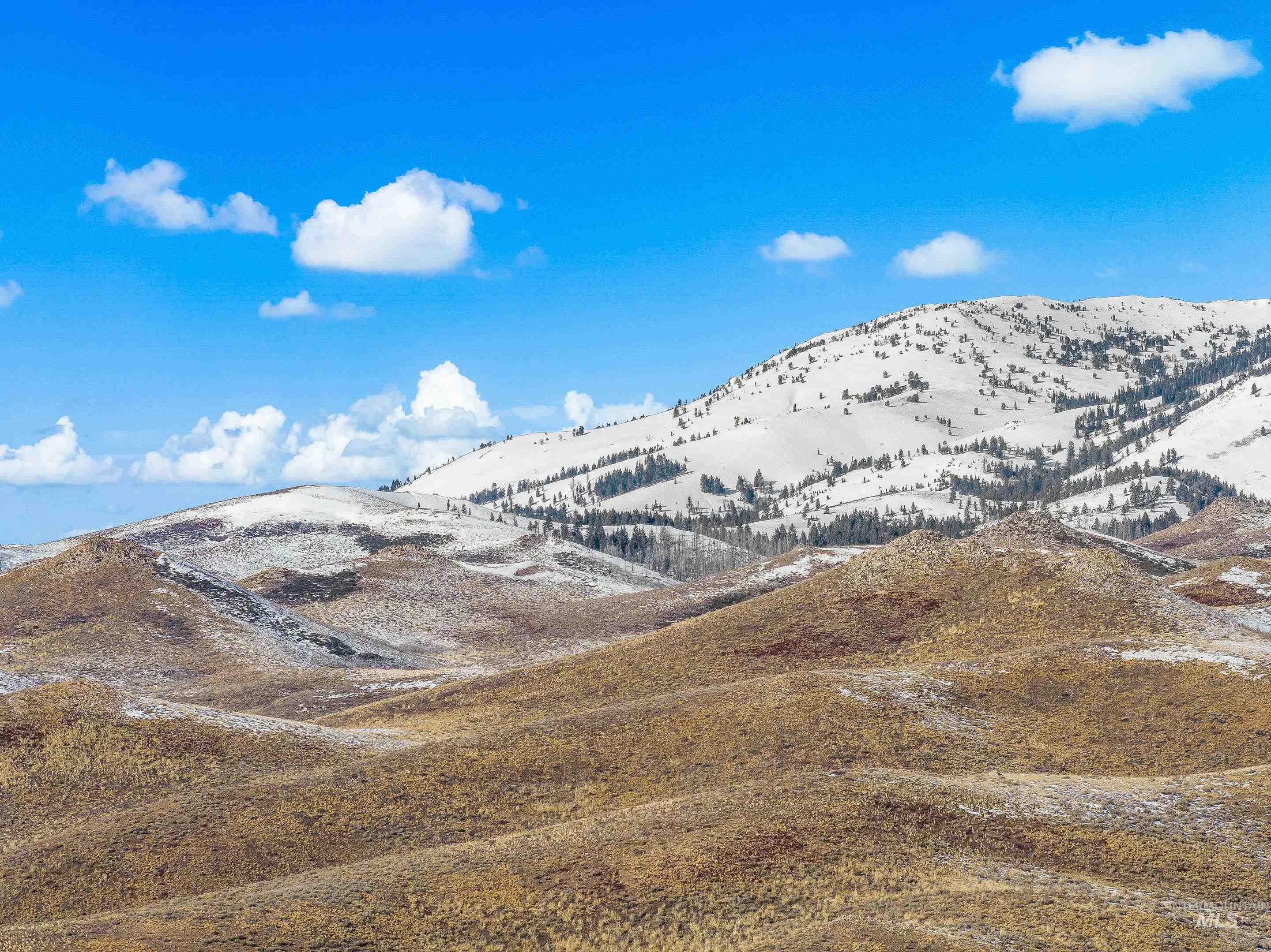 TBD Palamino, Fairfield, Idaho 83327, Land For Sale, Price $225,000,MLS 98972190