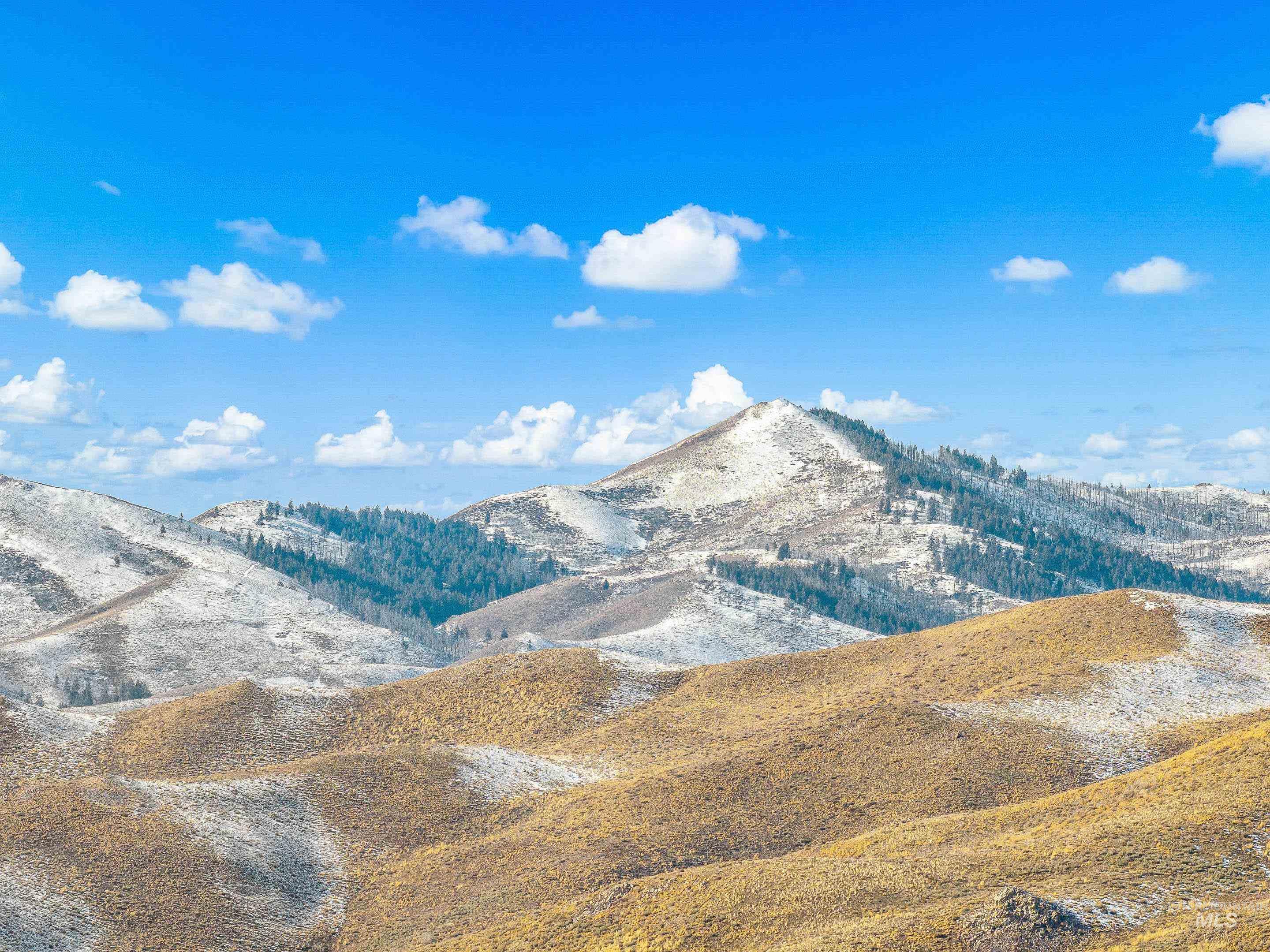 TBD Palamino, Fairfield, Idaho 83327, Land For Sale, Price $225,000,MLS 98972190