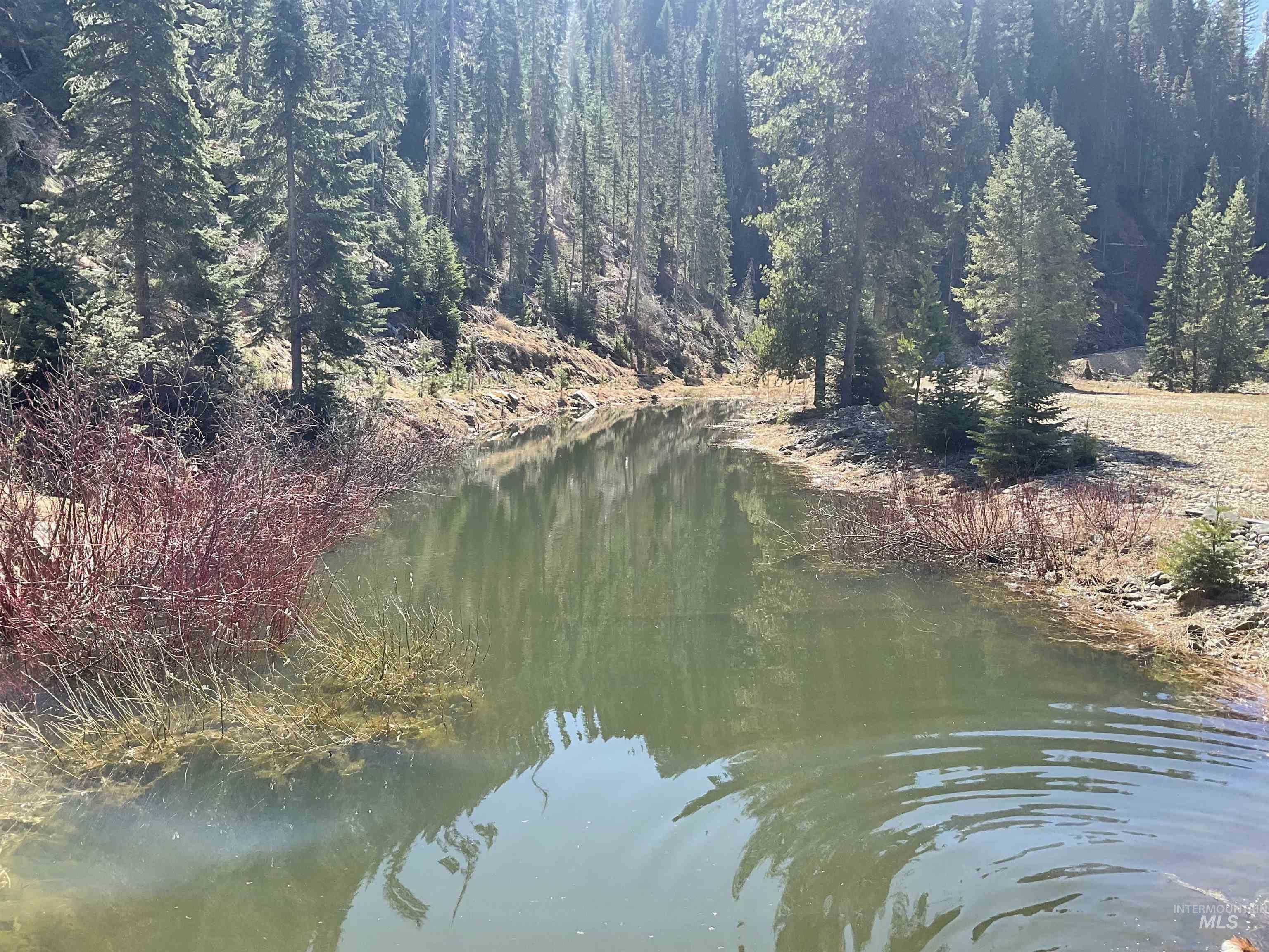 127 Golden Rod Lane, Elk City, Idaho 83525, 2 Bedrooms, 2 Bathrooms, Residential For Sale, Price $460,000,MLS 98972275