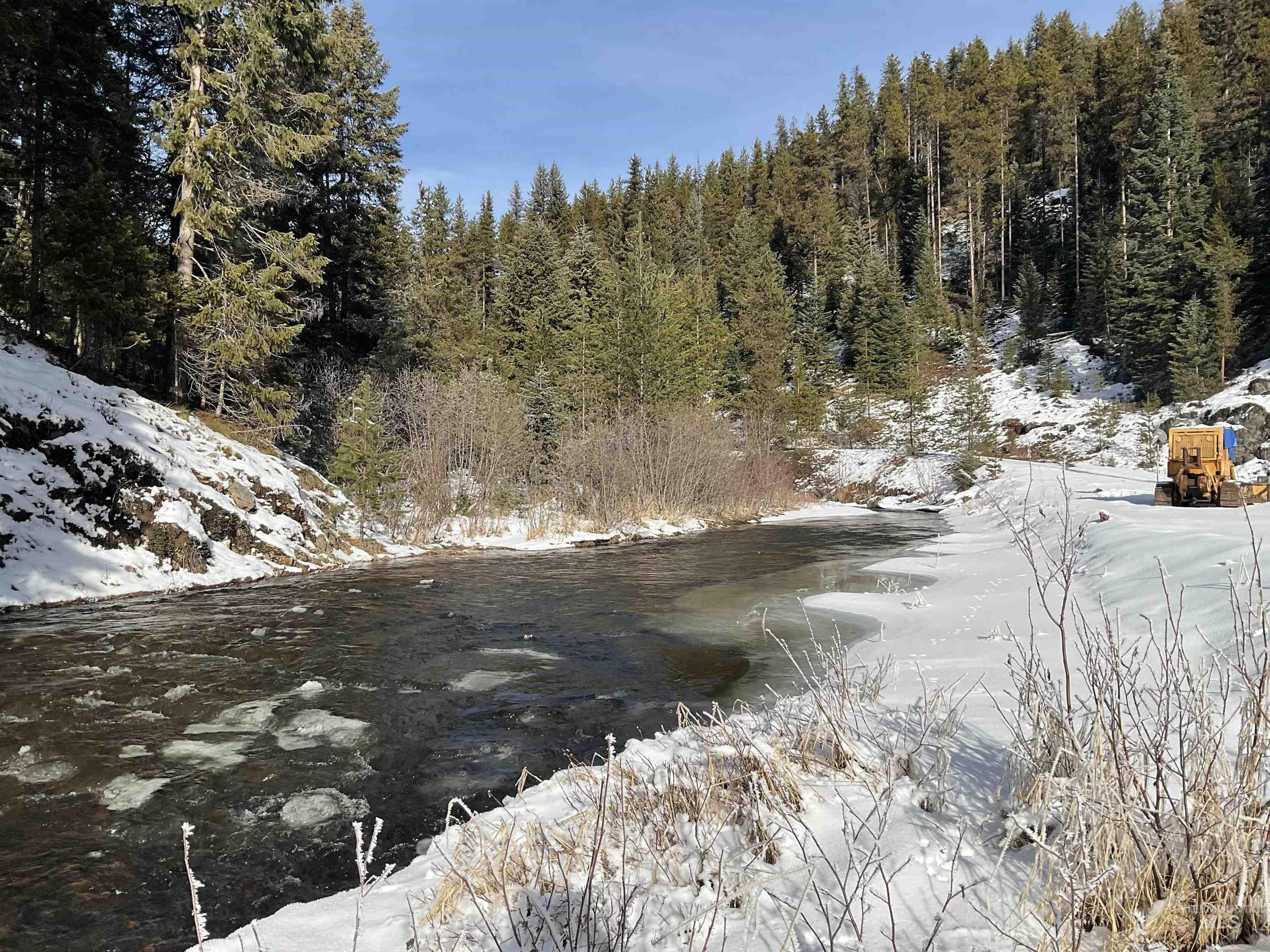 127 Golden Rod Lane, Elk City, Idaho 83525, 2 Bedrooms, 2 Bathrooms, Residential For Sale, Price $460,000,MLS 98972275