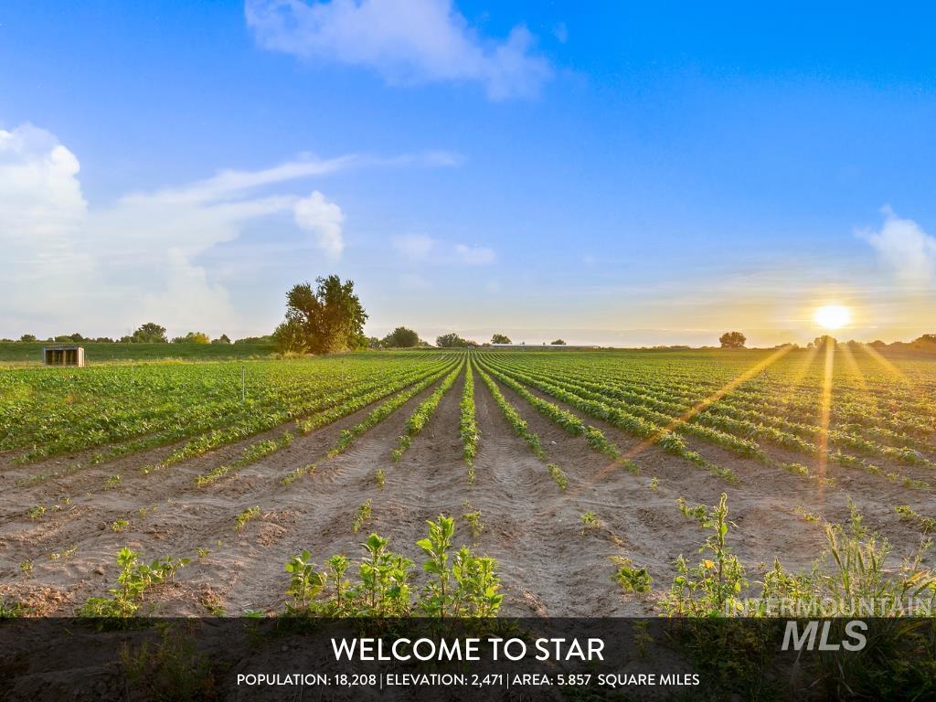 11634 W Lilium Street, Star, Idaho 83669, 4 Bedrooms, 3.5 Bathrooms, Residential For Sale, Price $809,900,MLS 98972283