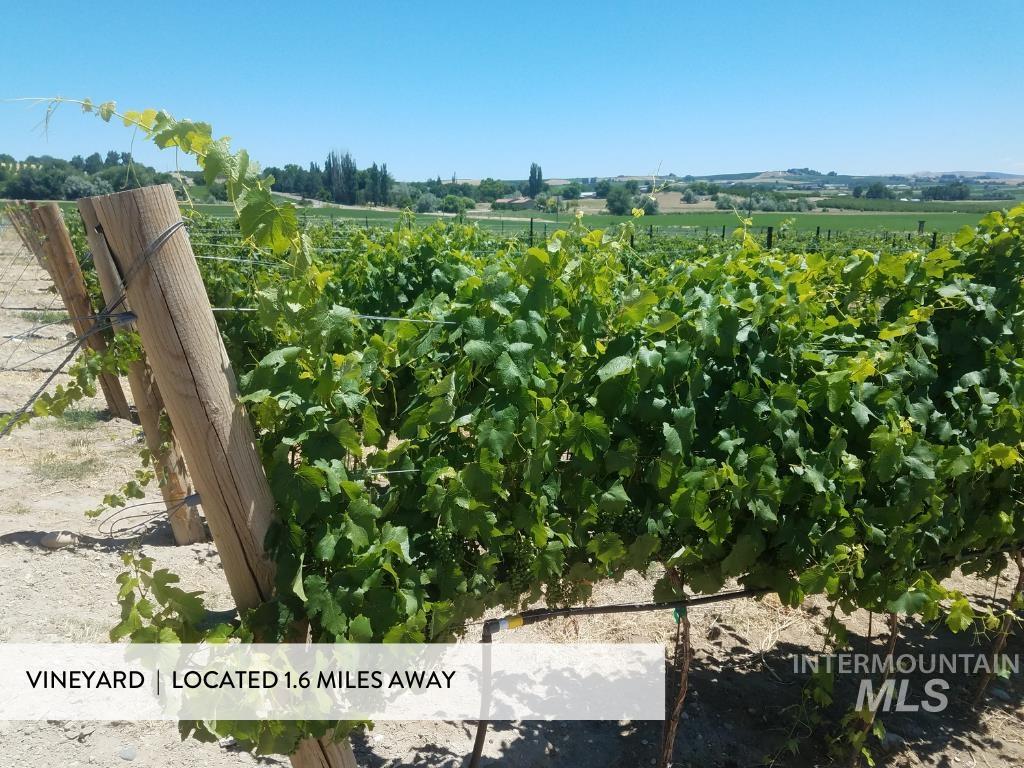 11634 W Lilium Street, Star, Idaho 83669, 4 Bedrooms, 3.5 Bathrooms, Residential For Sale, Price $809,900,MLS 98972283