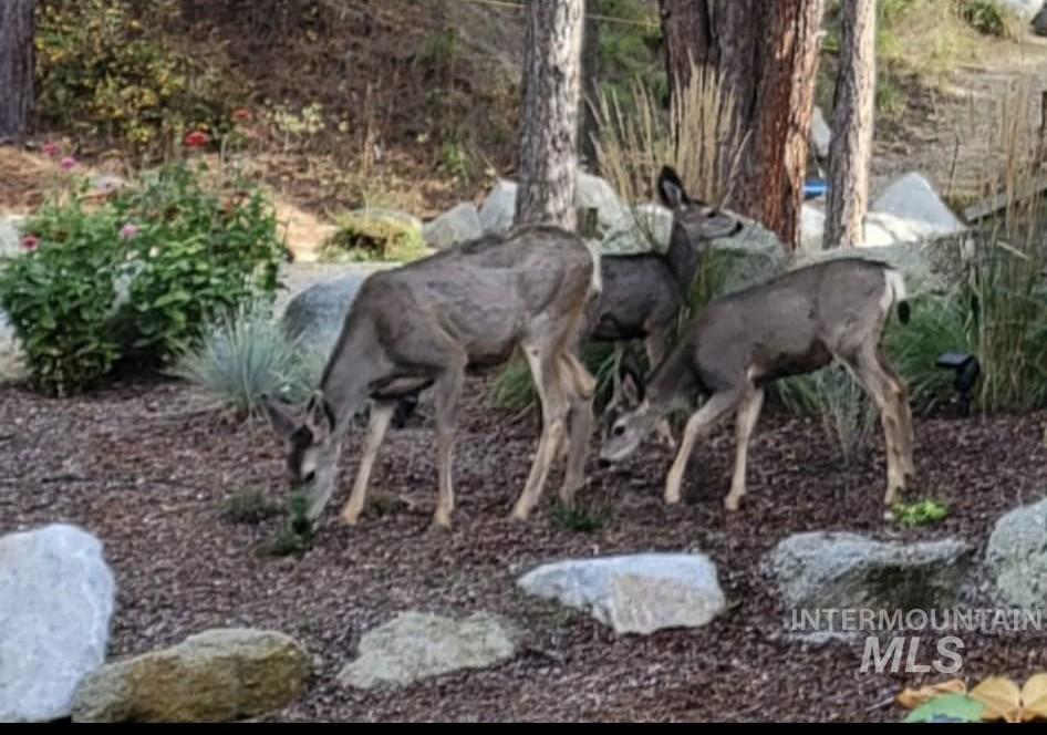 36 Kevins, Garden Valley, Idaho 83622-5233, 4 Bedrooms, 4.5 Bathrooms, Residential For Sale, Price $2,499,999,MLS 98972285