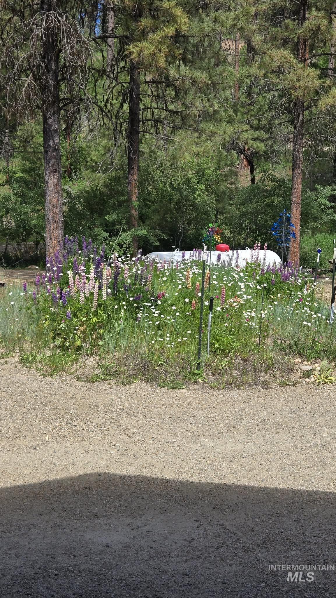 36 Kevins, Garden Valley, Idaho 83622-5233, 4 Bedrooms, 4.5 Bathrooms, Residential For Sale, Price $2,499,999,MLS 98972285