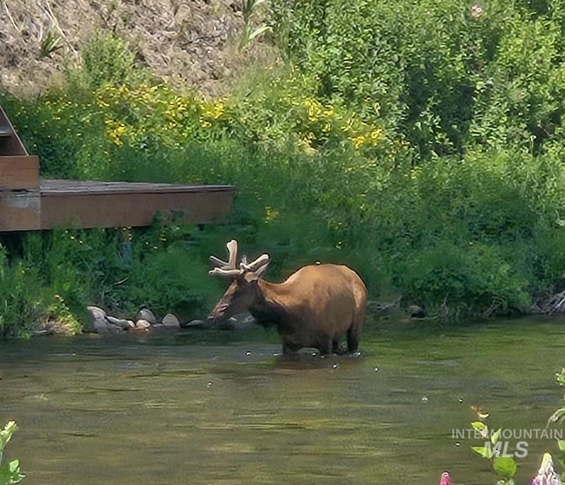 36 Kevins Way, Garden Valley, Idaho 83622-5233, 4 Bedrooms, 4.5 Bathrooms, Residential For Sale, Price $2,499,000,MLS 98972285